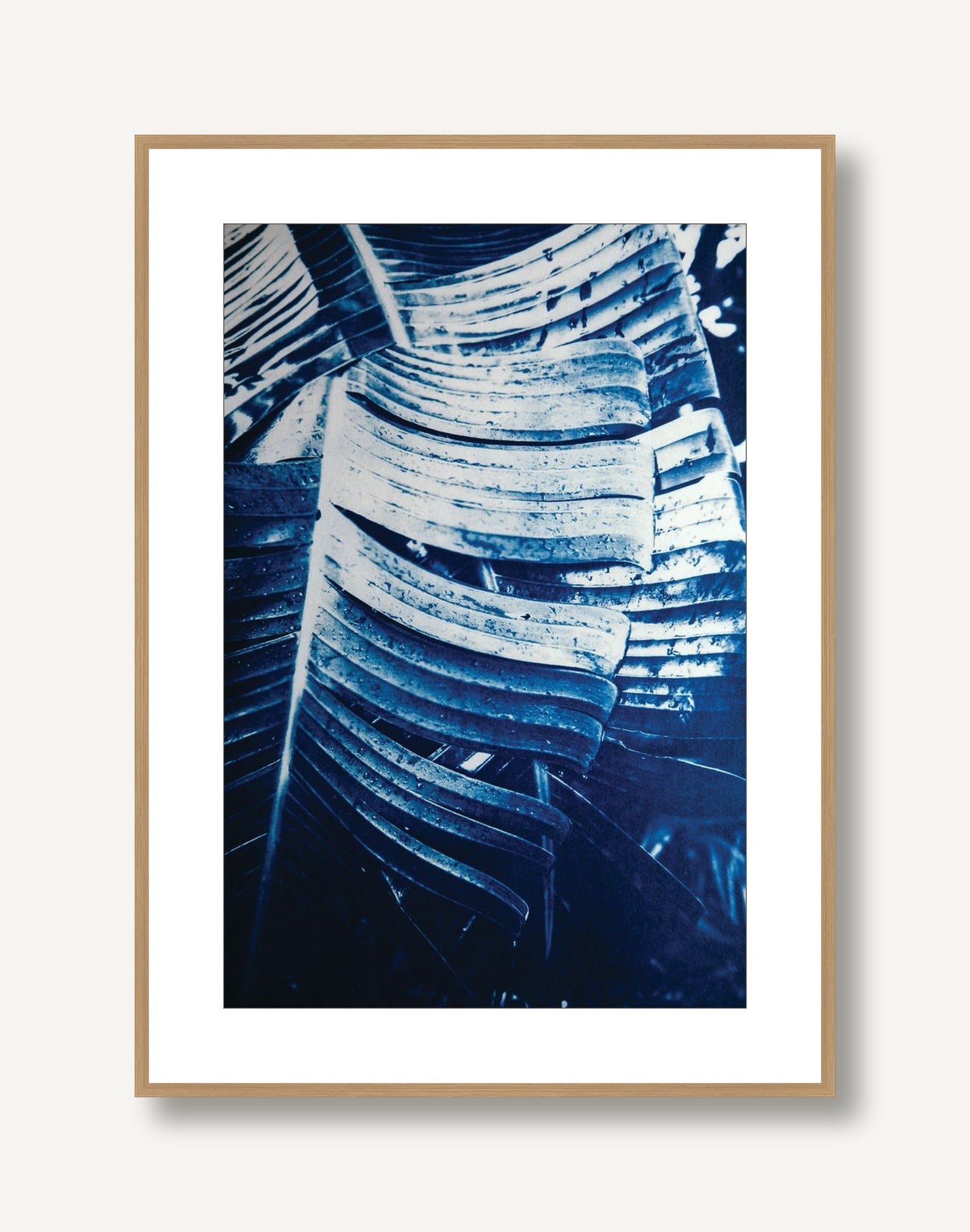 Bird of Paradise Leaves 1 framed