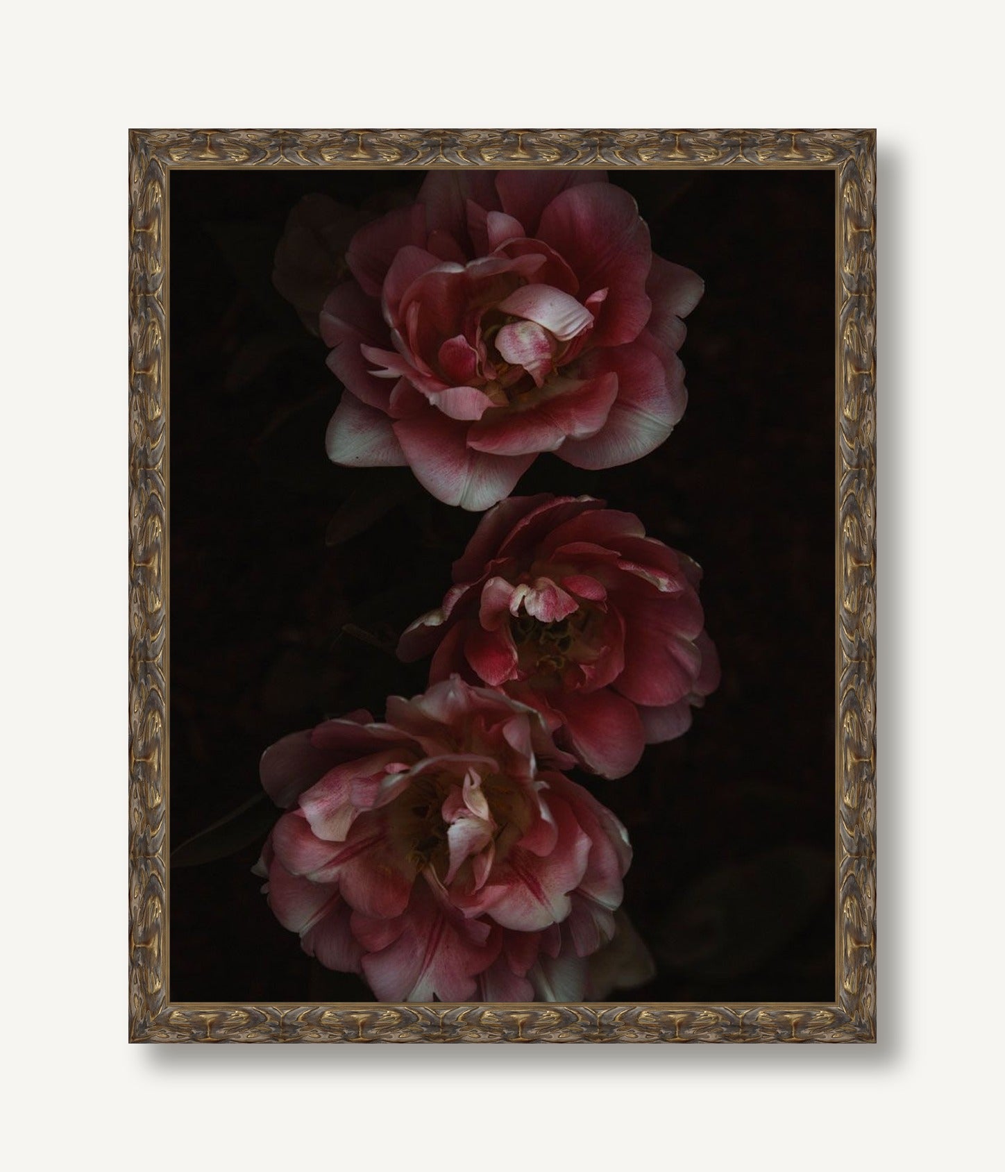 Night Blooming 4 framed
