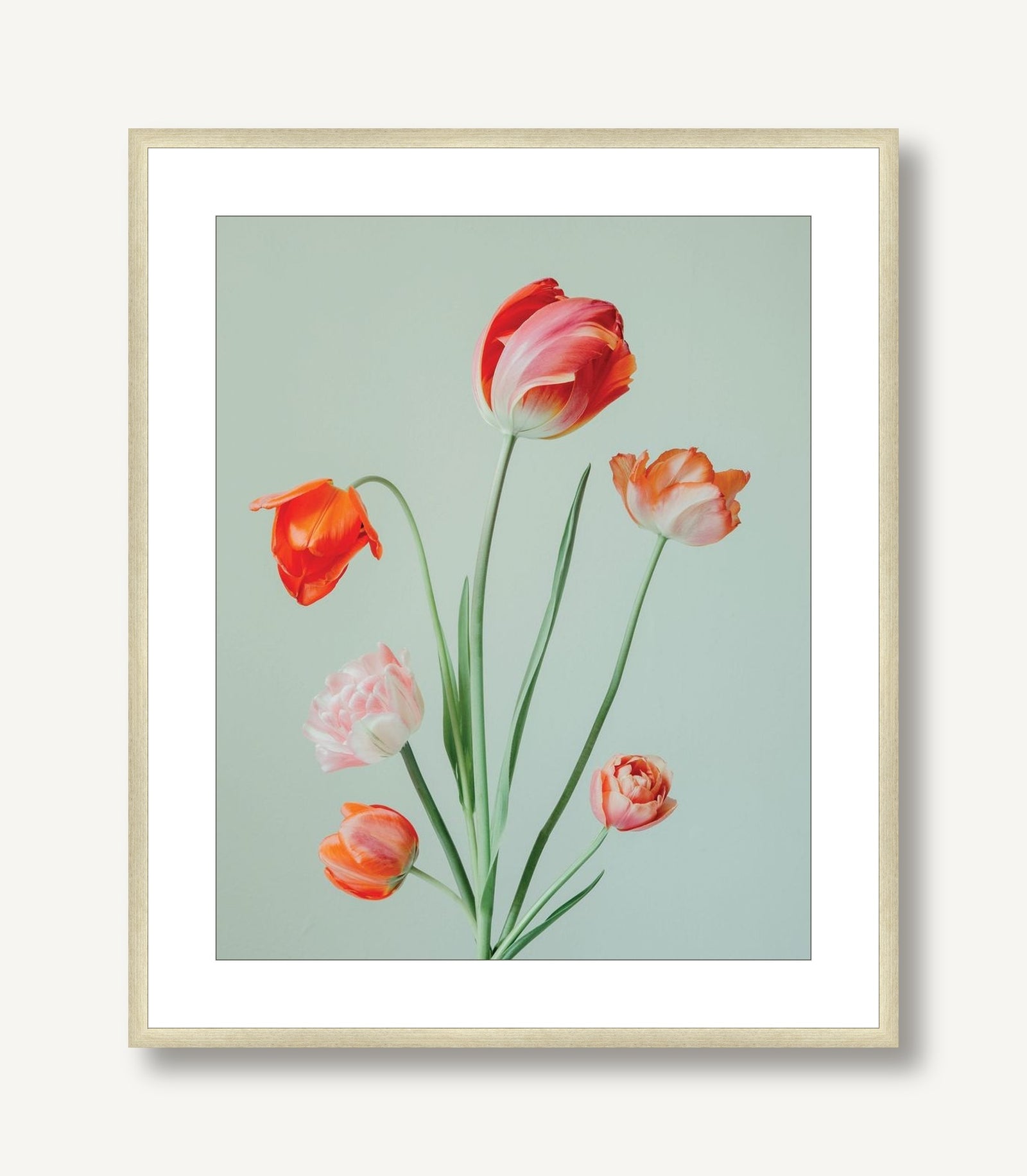 Pearl 1 framed