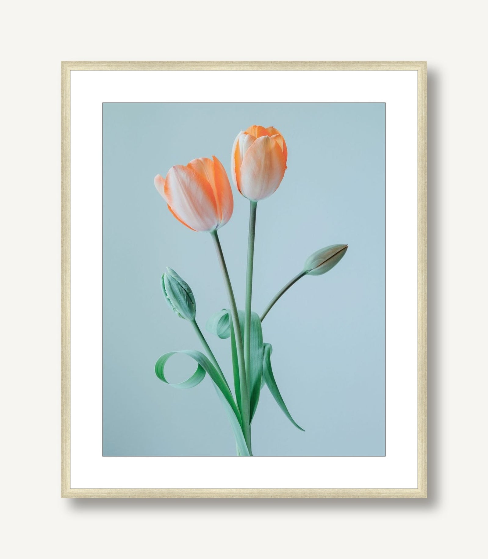 Pearl 2 framed