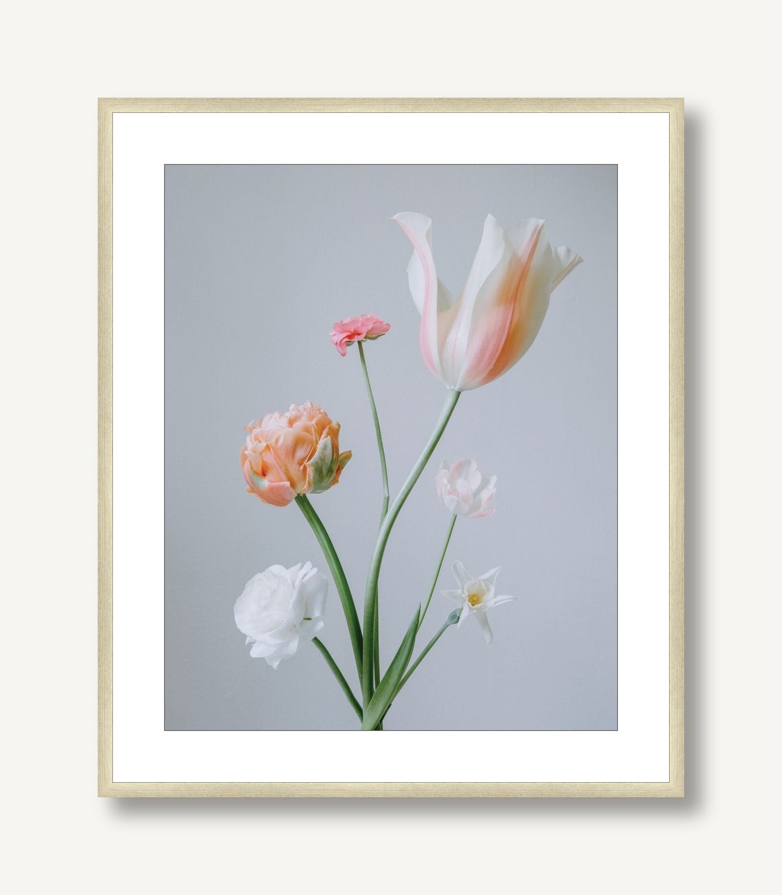Pearl 3 framed