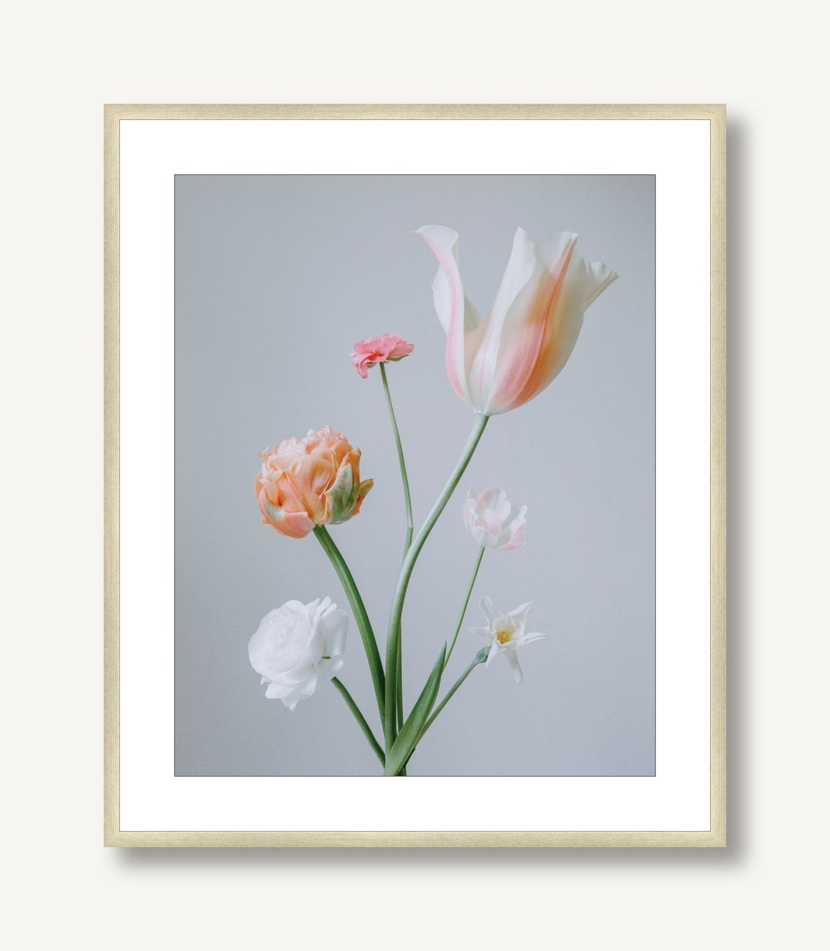 Pearl 3 framed