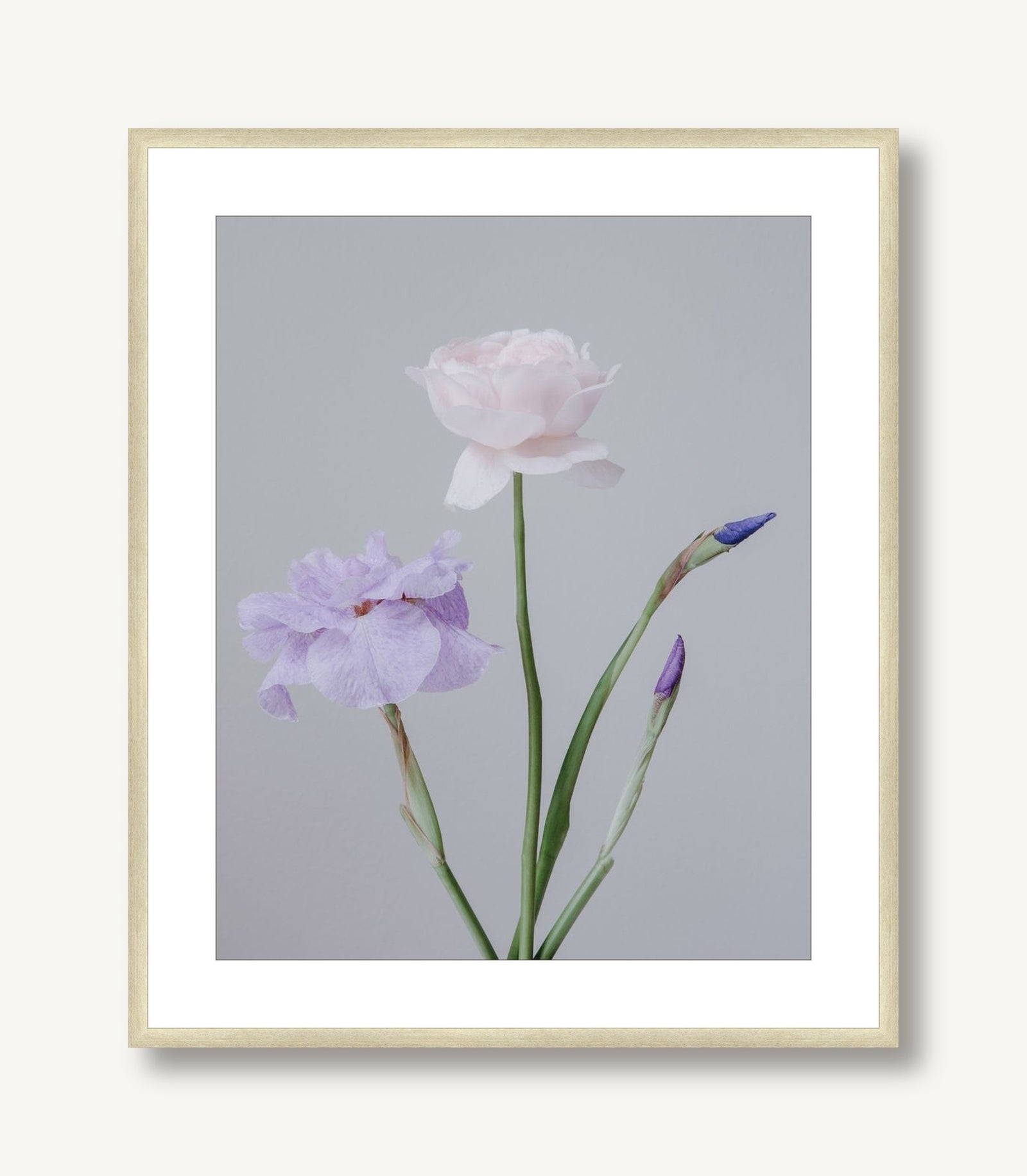 Pearl 4 framed