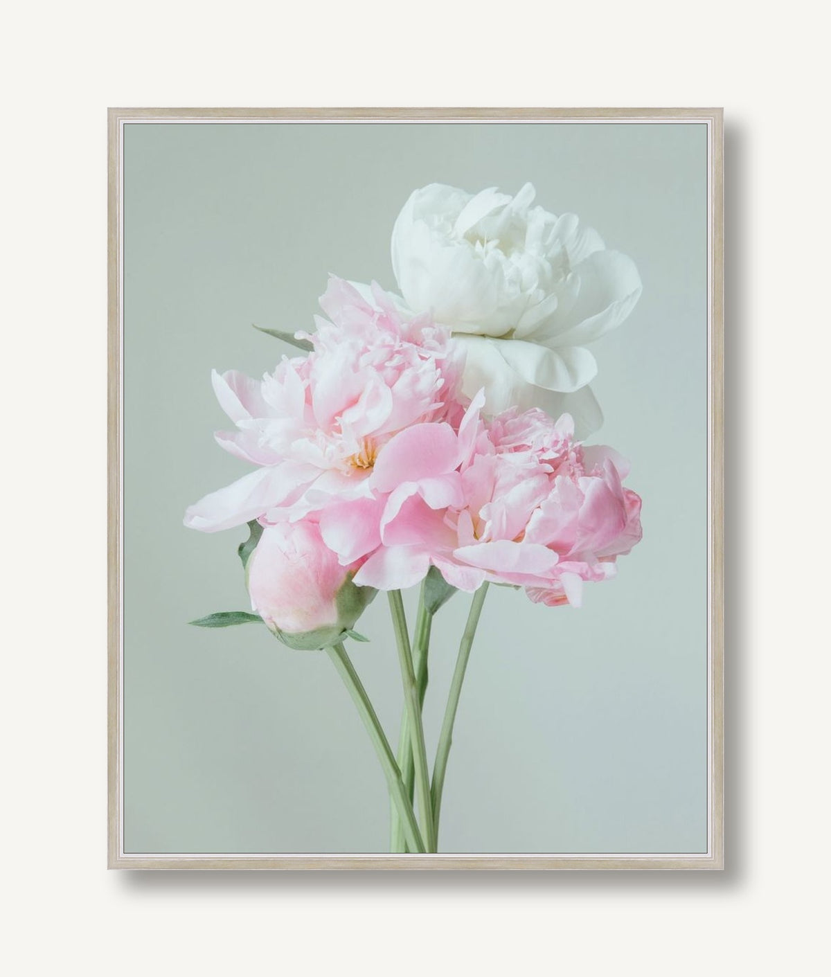 Rosaline 3 framed