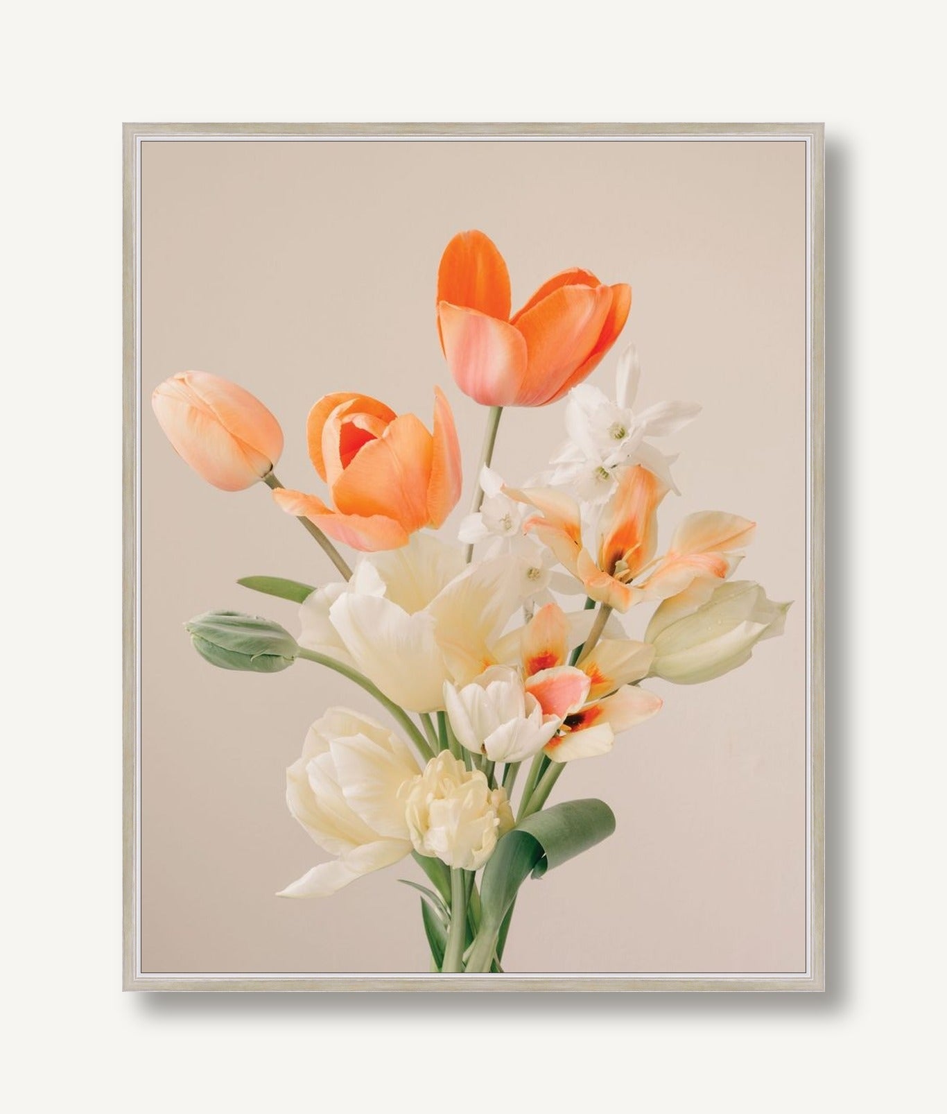 Rosaline 4 framed