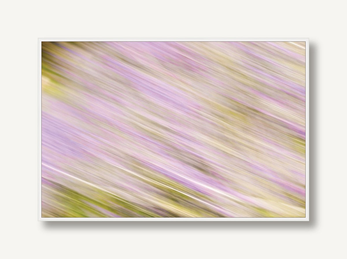 Intimation of Hue 1 framed