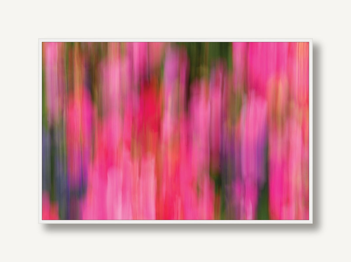 Intimation of Delight 1 framed