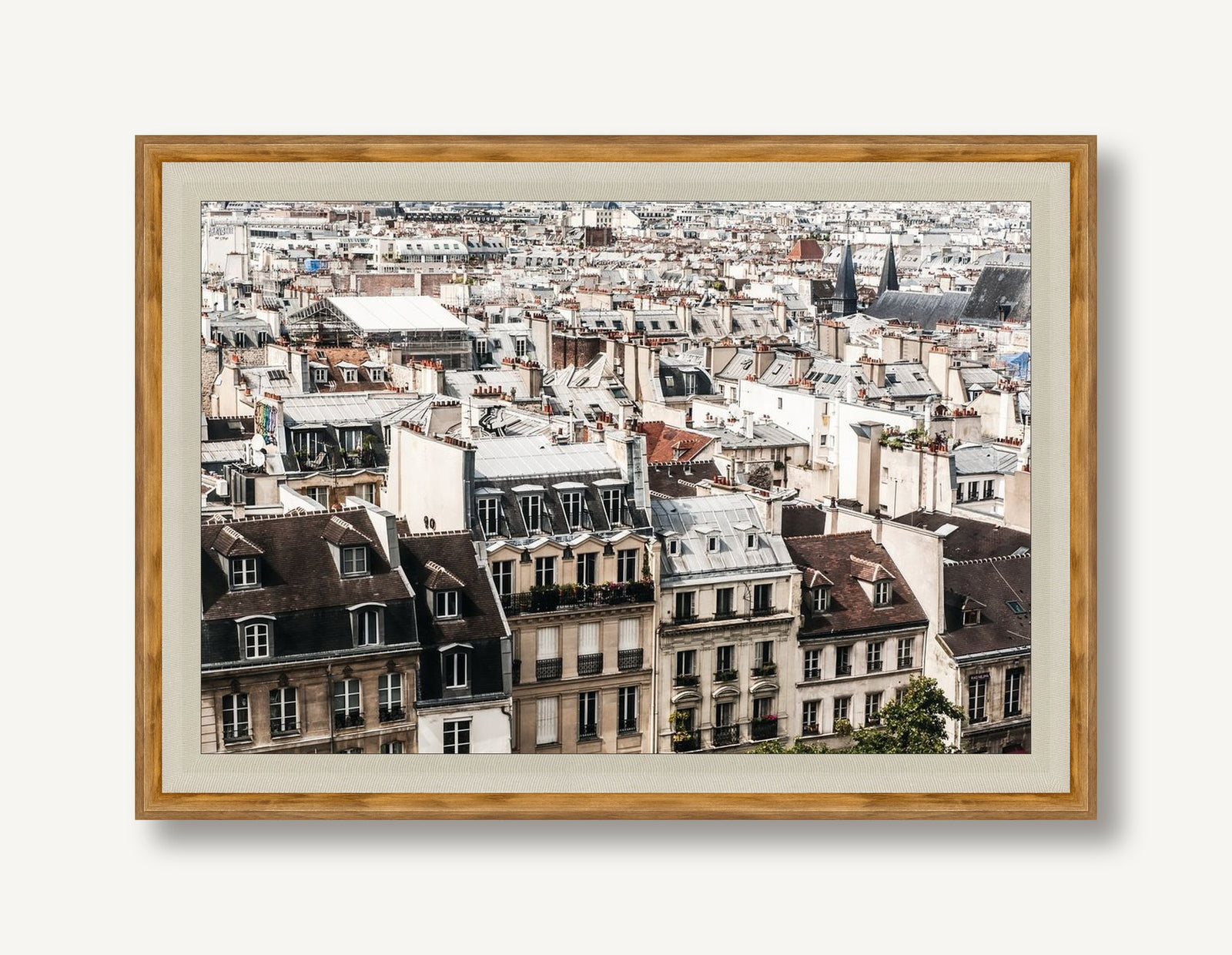 Rooftop Jungle 1 framed
