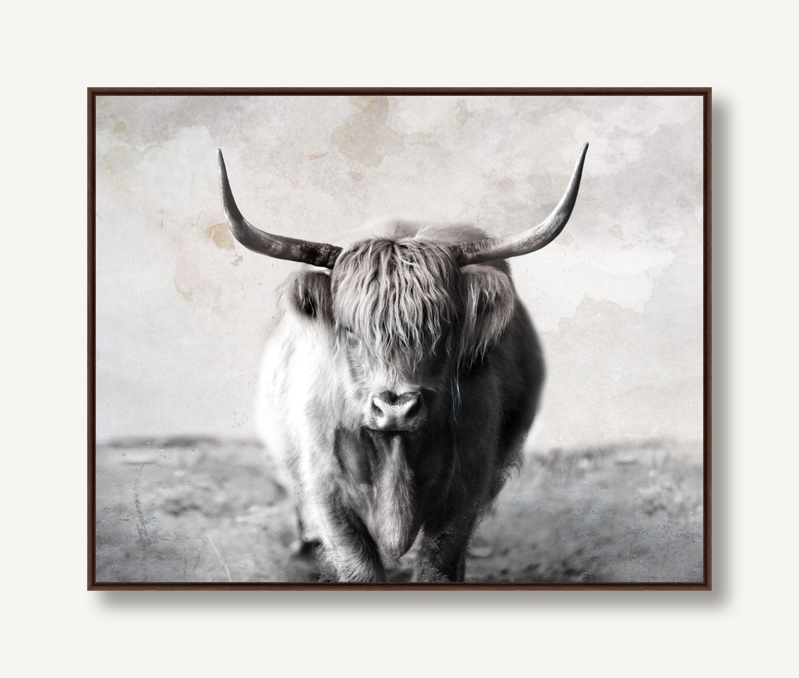 Highland Cow 1 framed