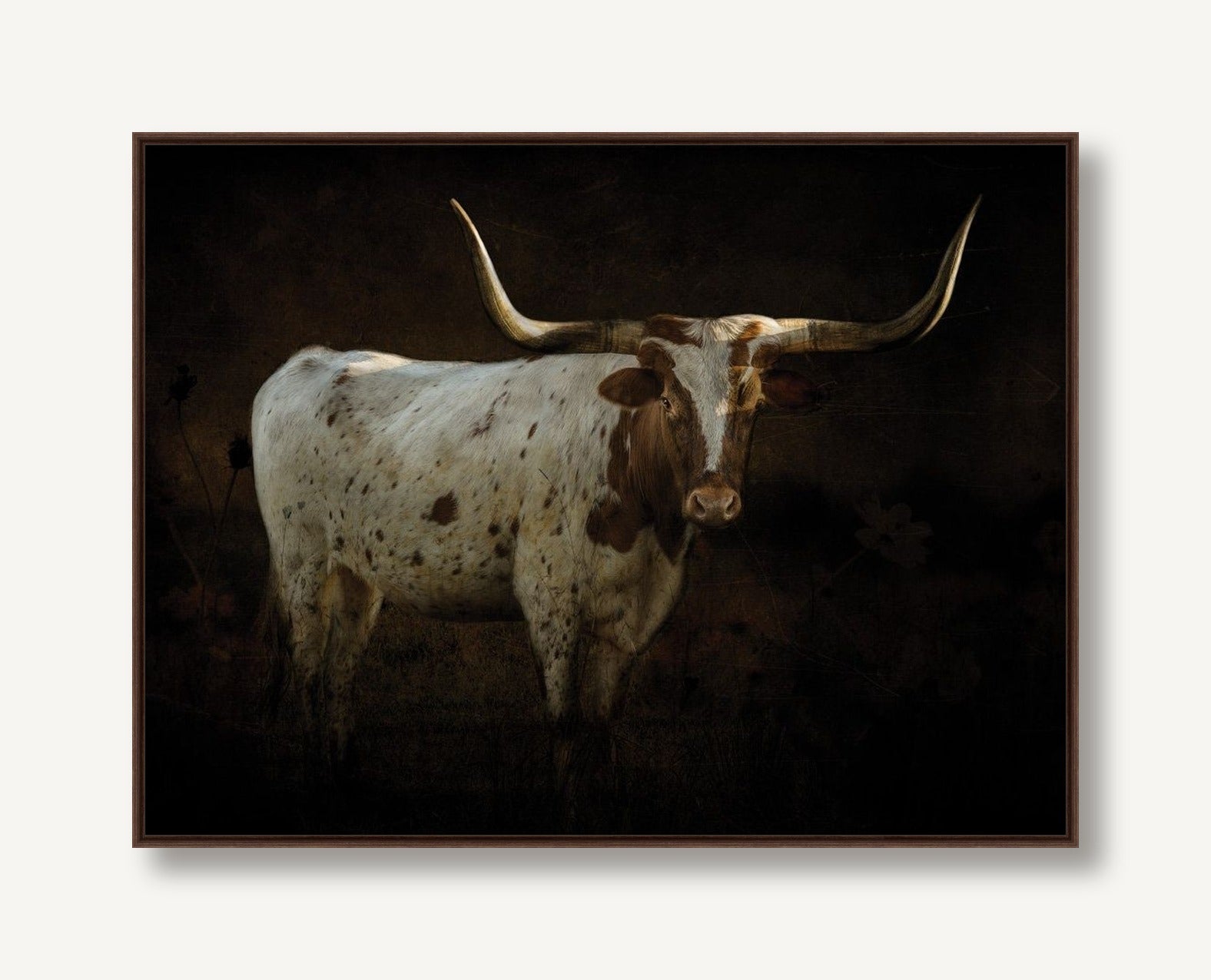 Longhorn 1 framed