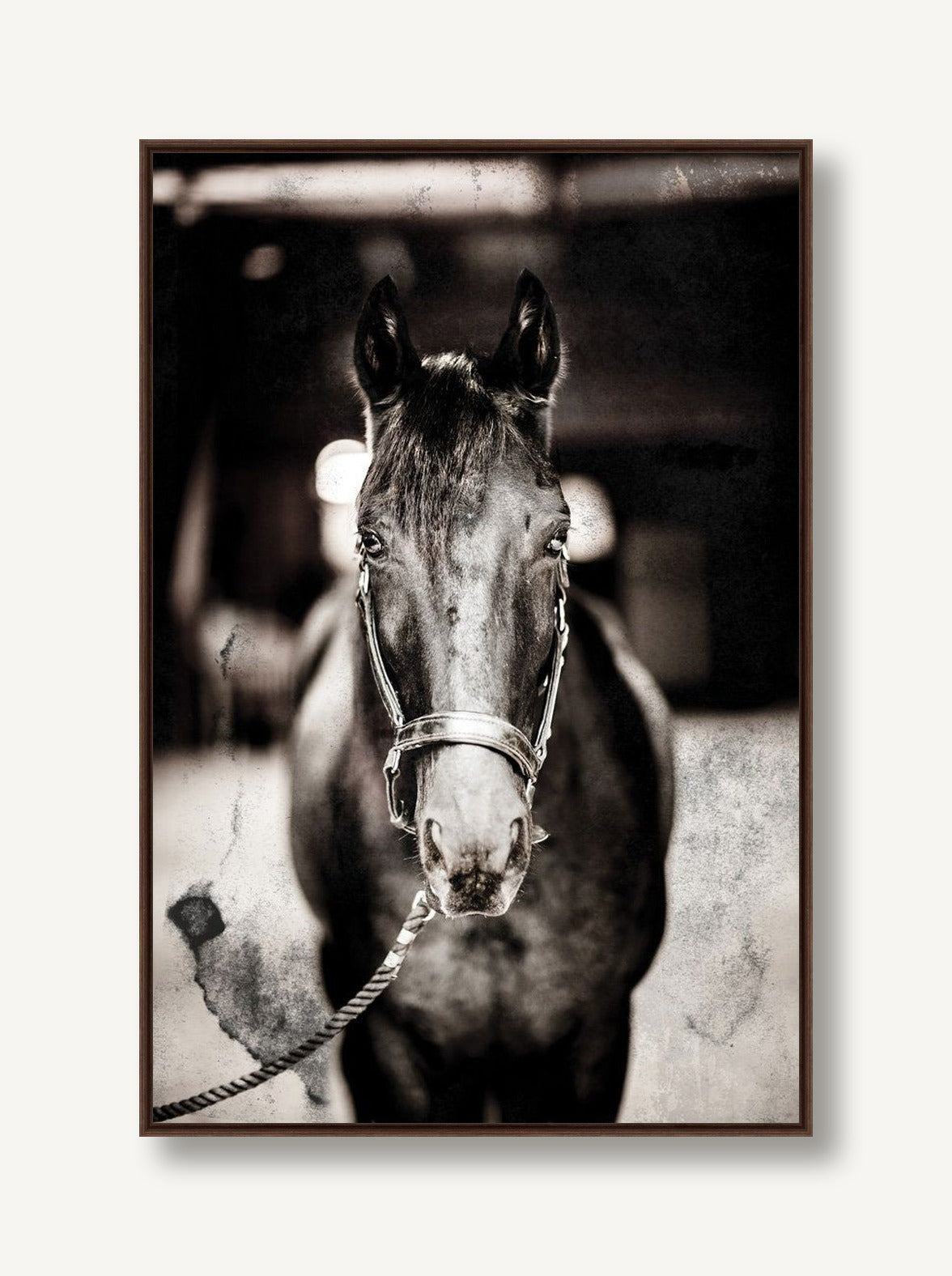 Show Blue 1 framed