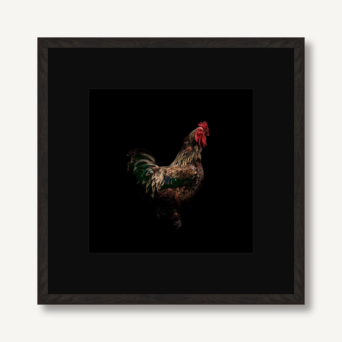 Strut 1 framed