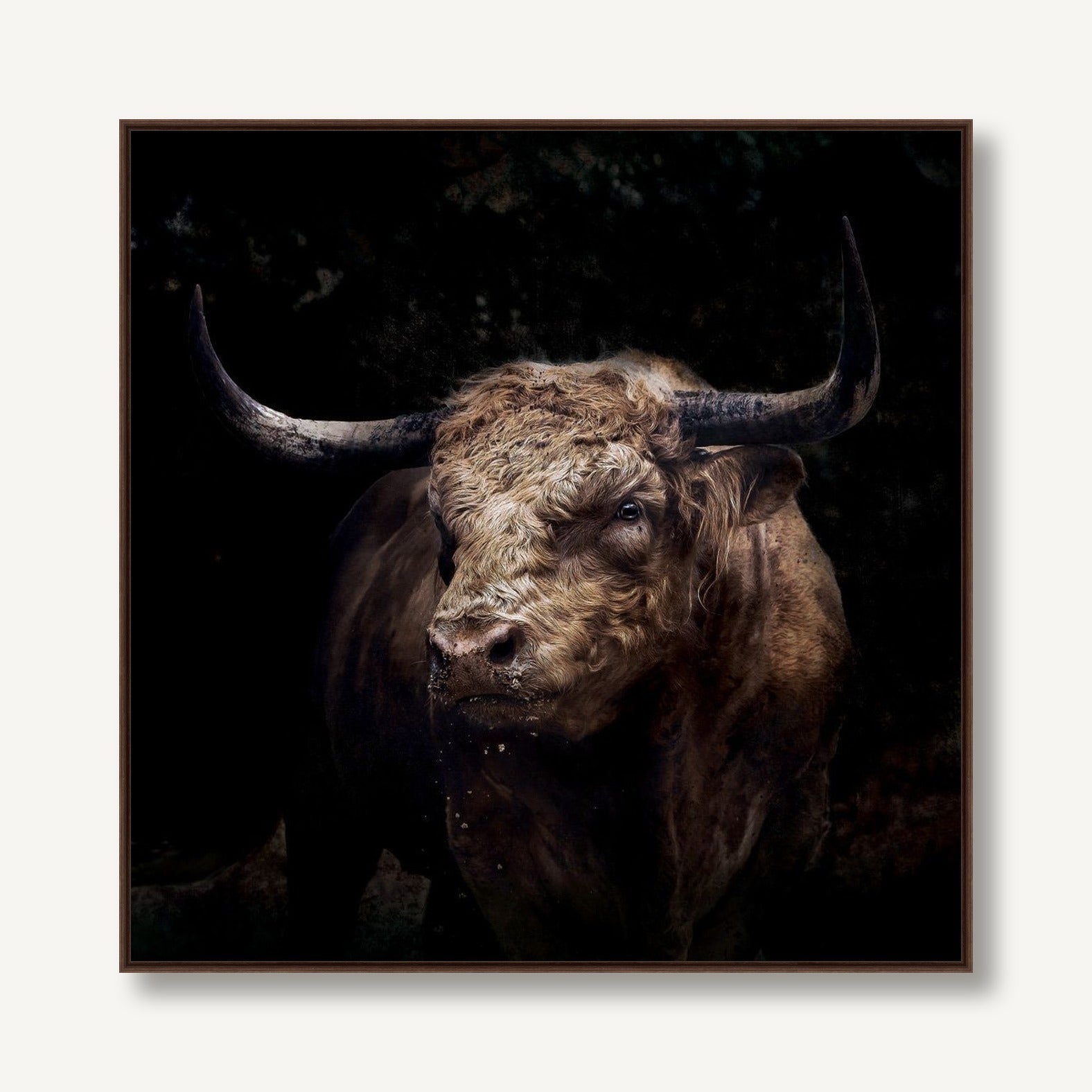 The Bull 1 framed