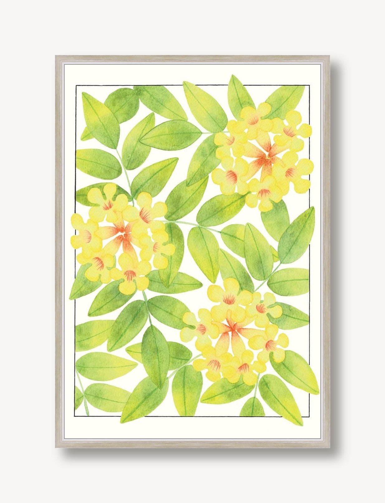 Guaran 1 framed