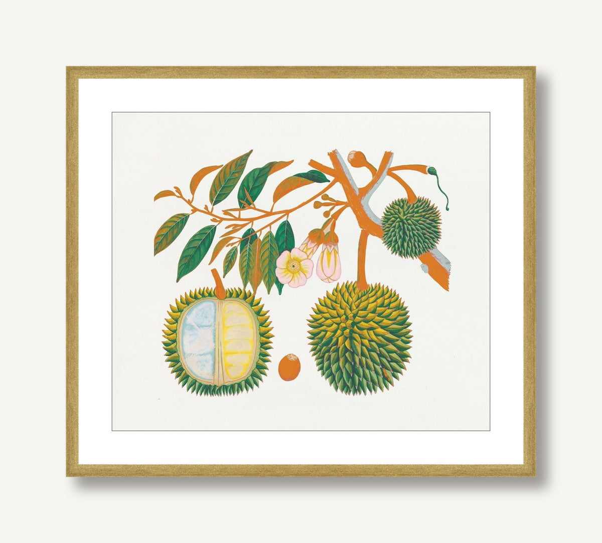 Island Harvest 3 framed