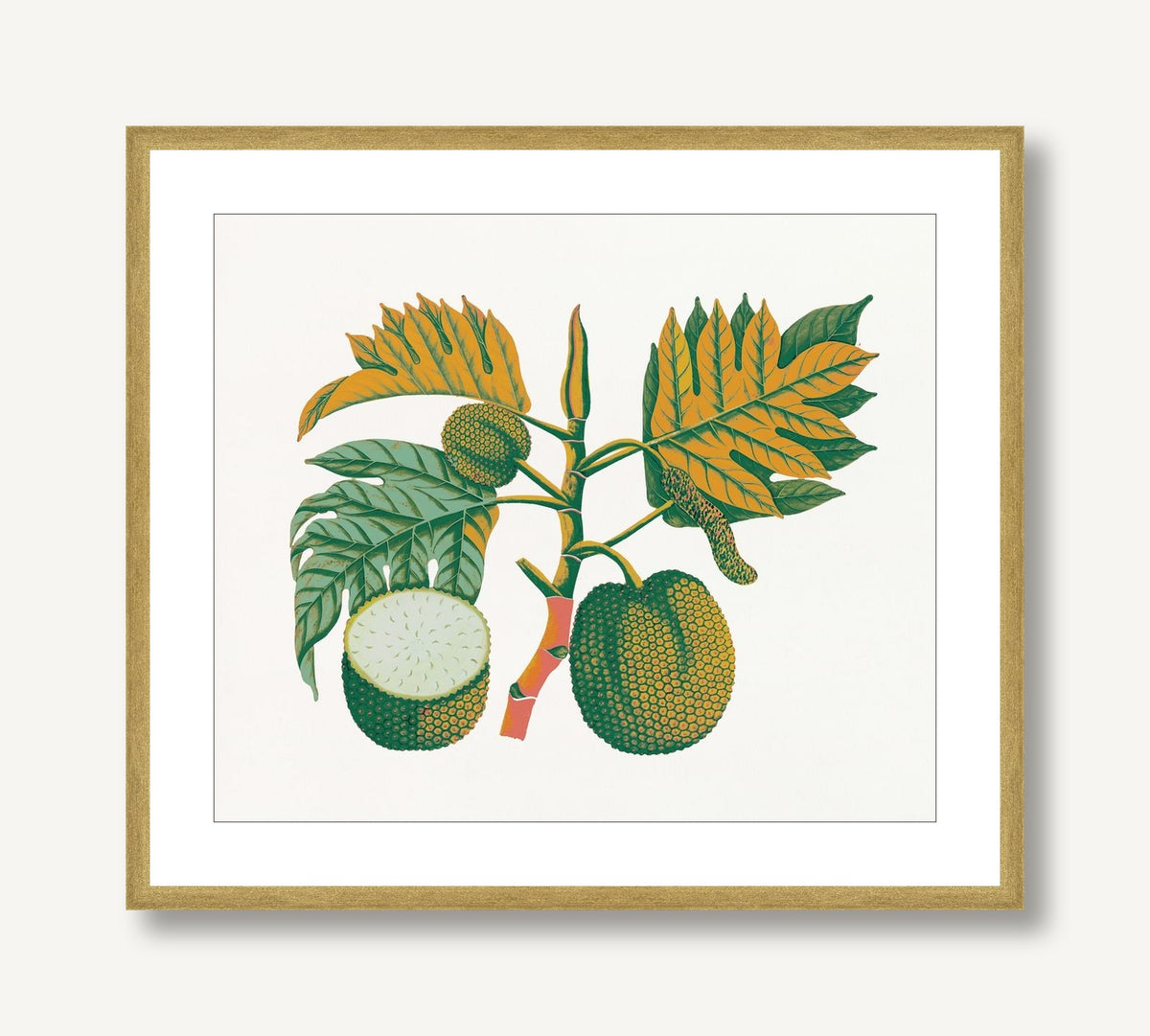 Island Harvest 4 framed