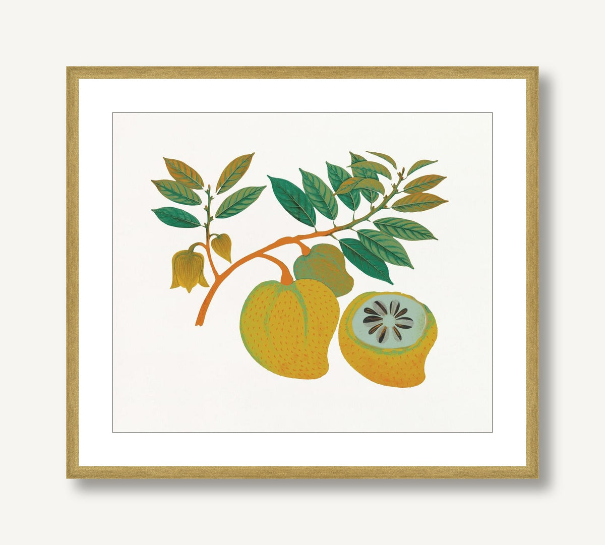 Island Harvest 5 framed