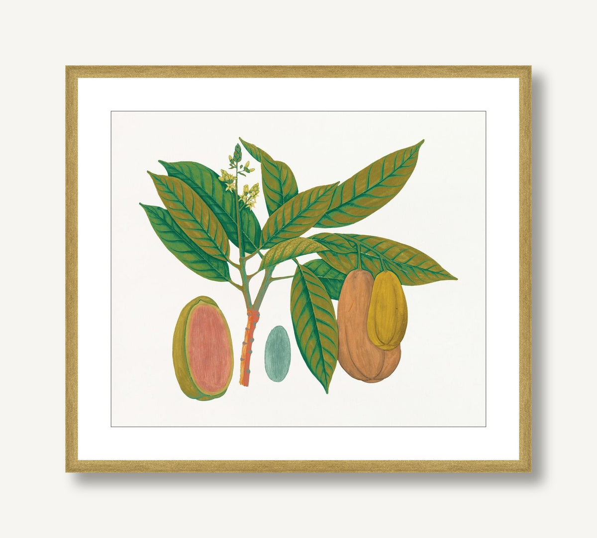 Island Harvest 6 framed