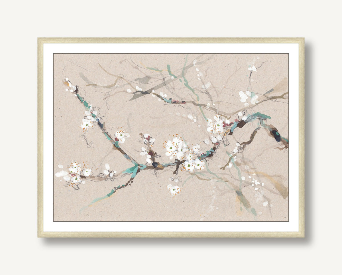 Branch Blossom 1 framed