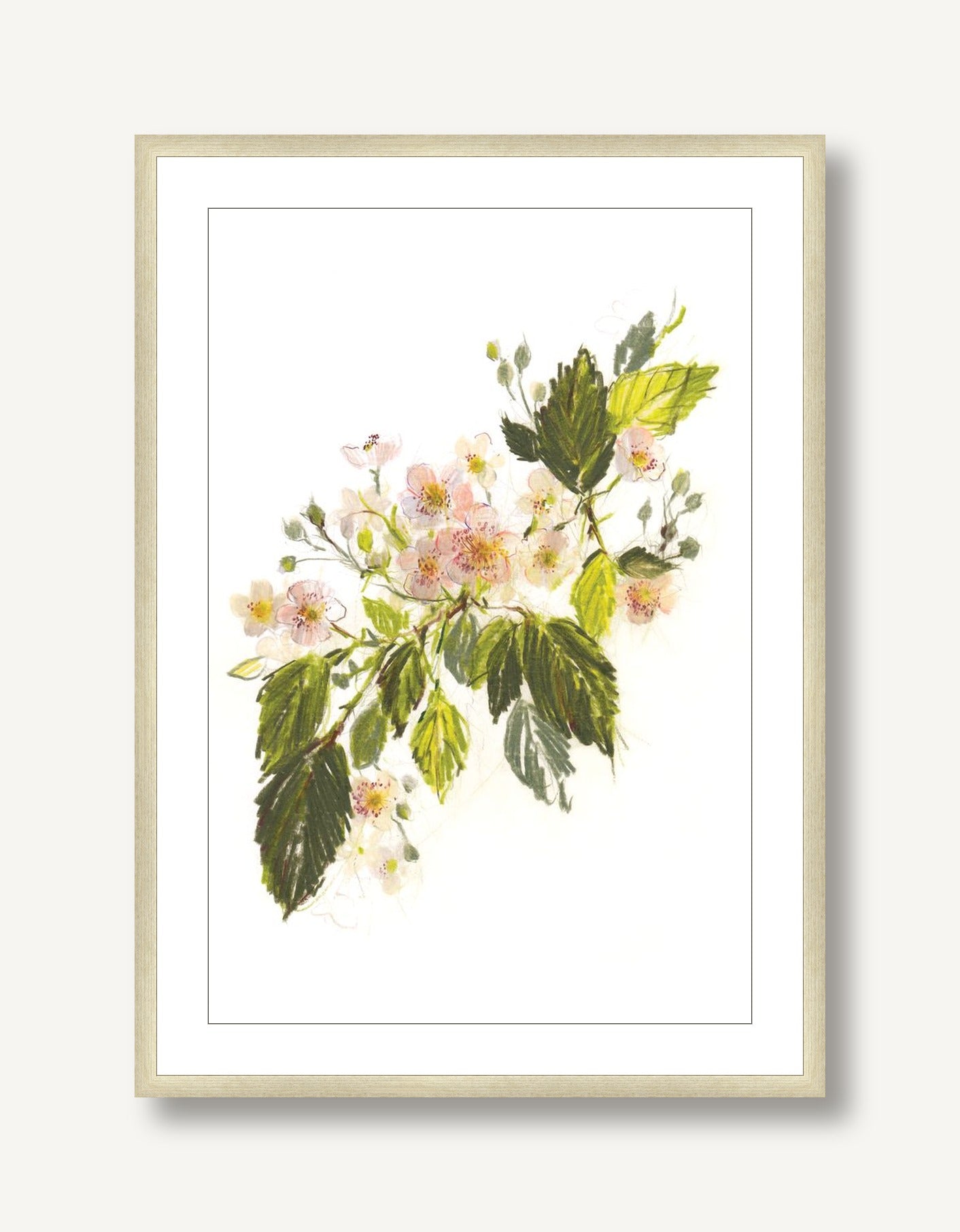 Blackberry Blossom 1 framed