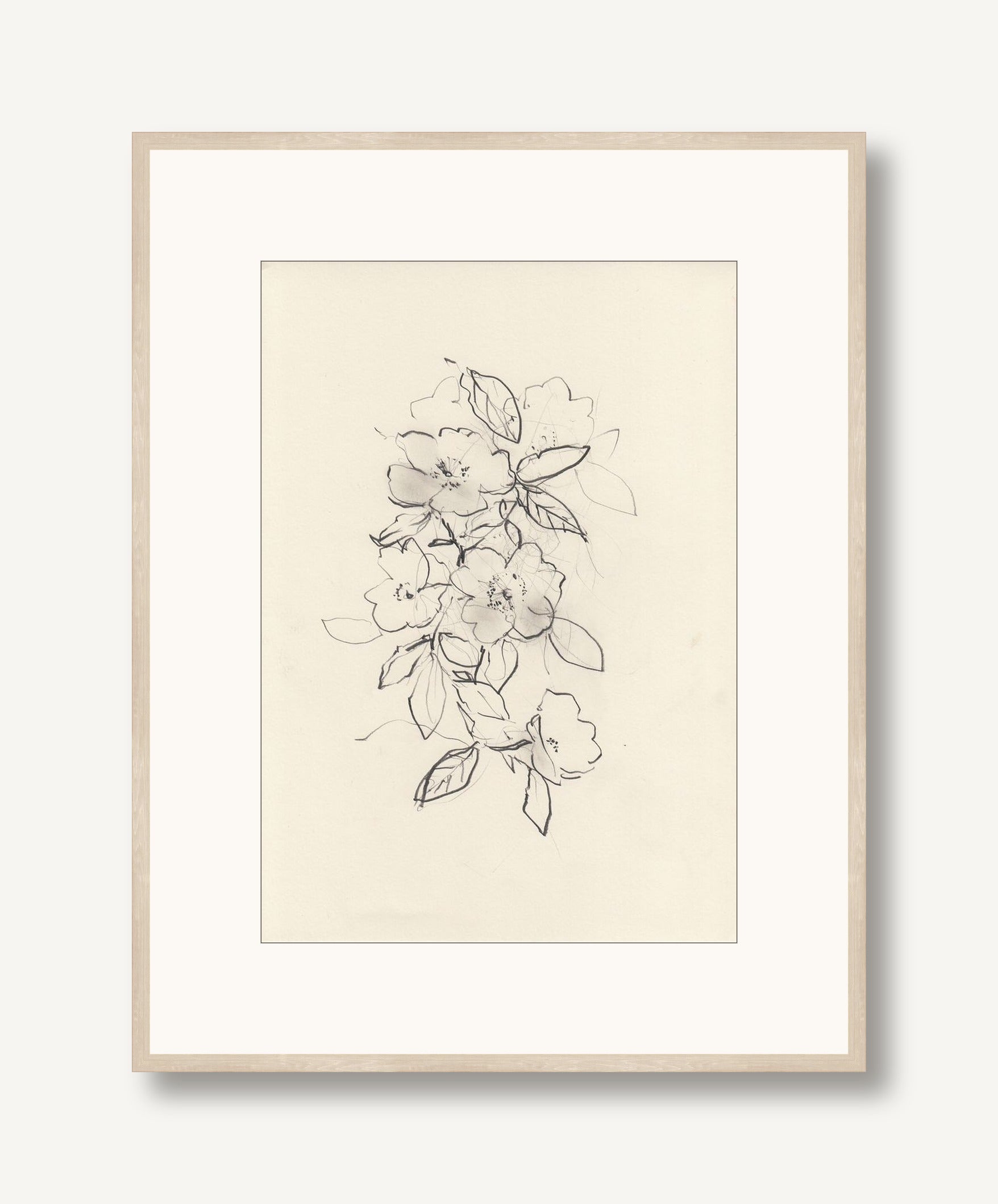 Dog Rose 1 framed