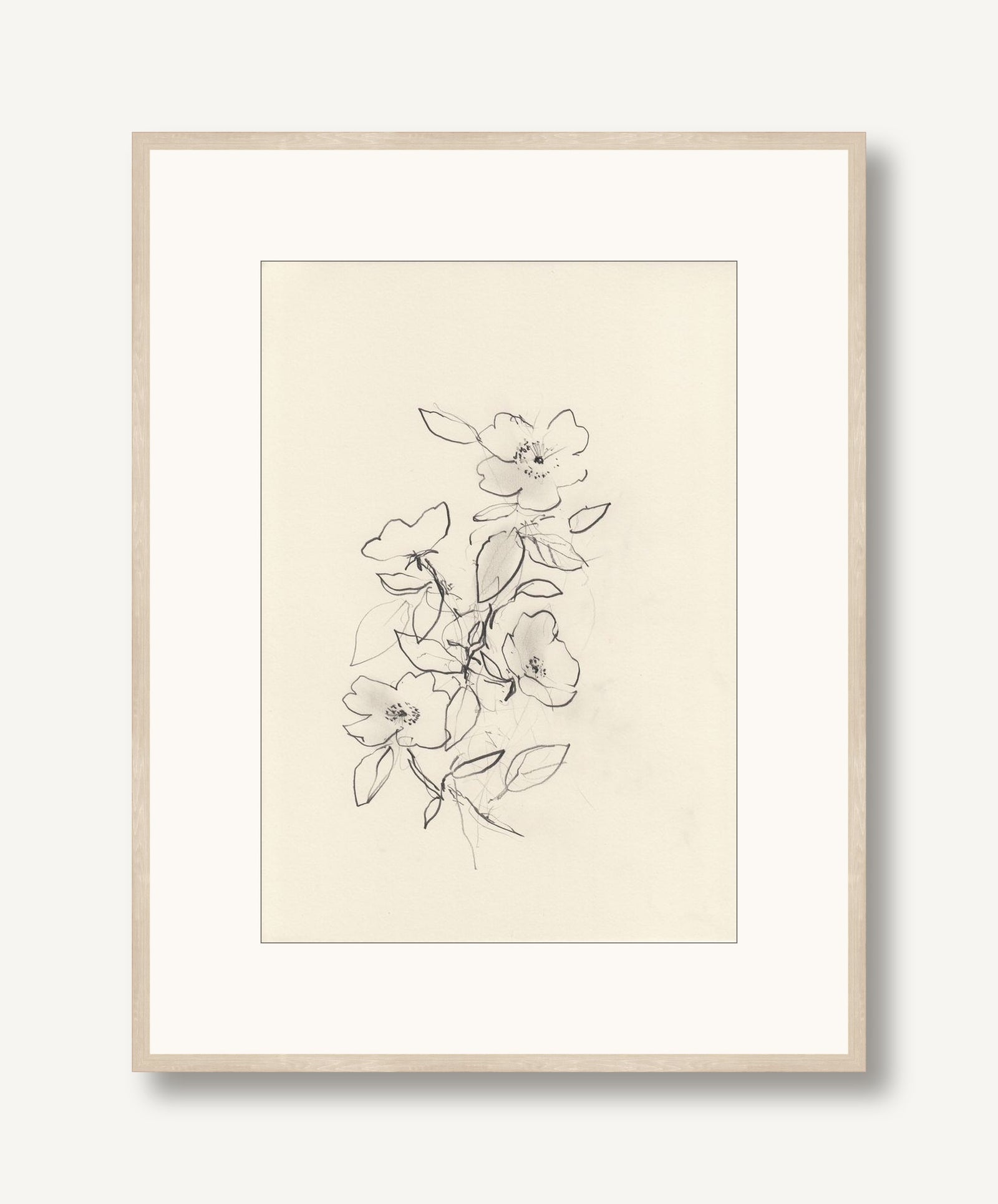 Dog Rose 2 framed