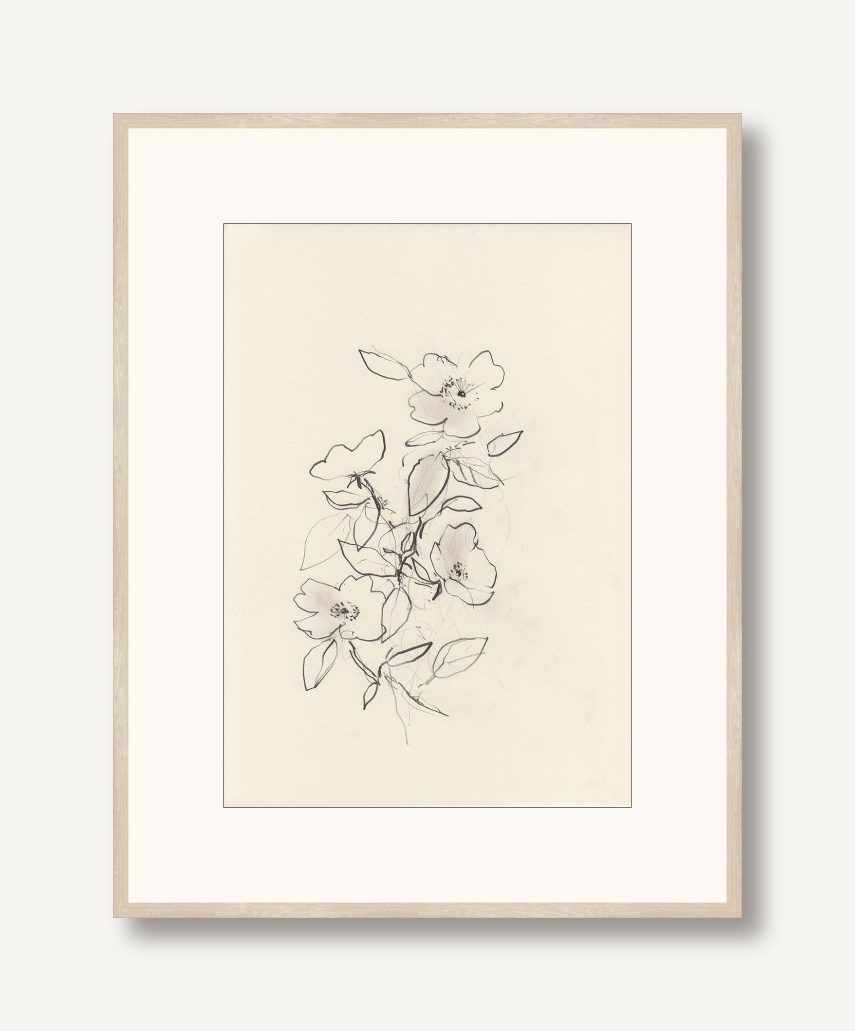 Dog Rose 2 framed
