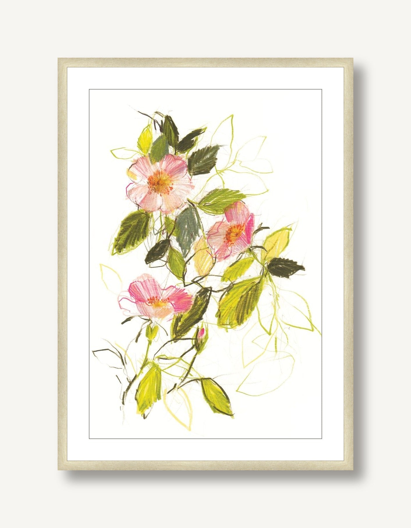 Dog Roses 1 framed