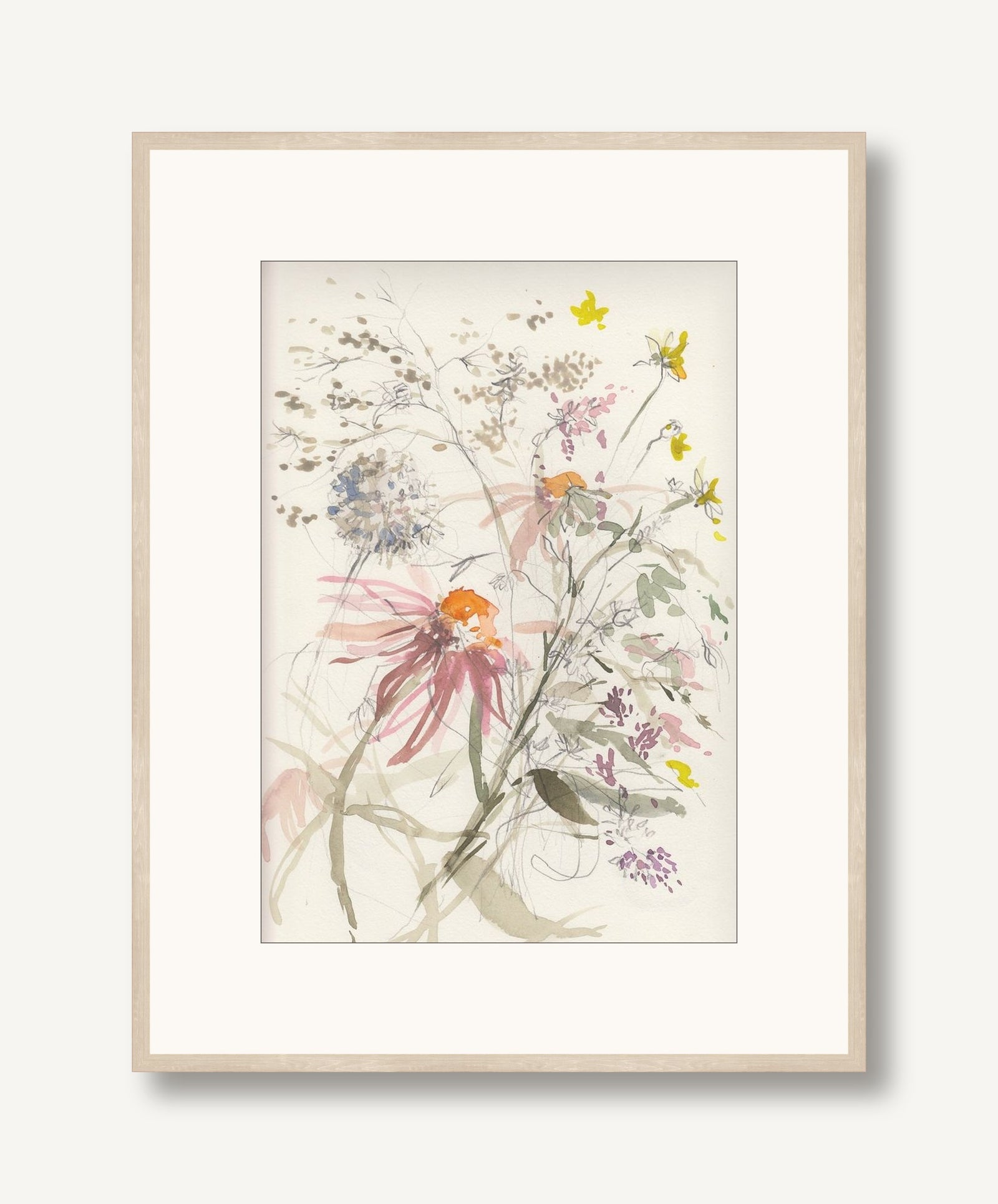 Echinacea 1 framed