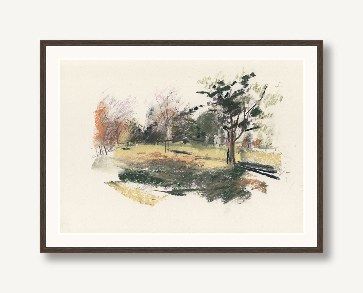 Field 1 framed