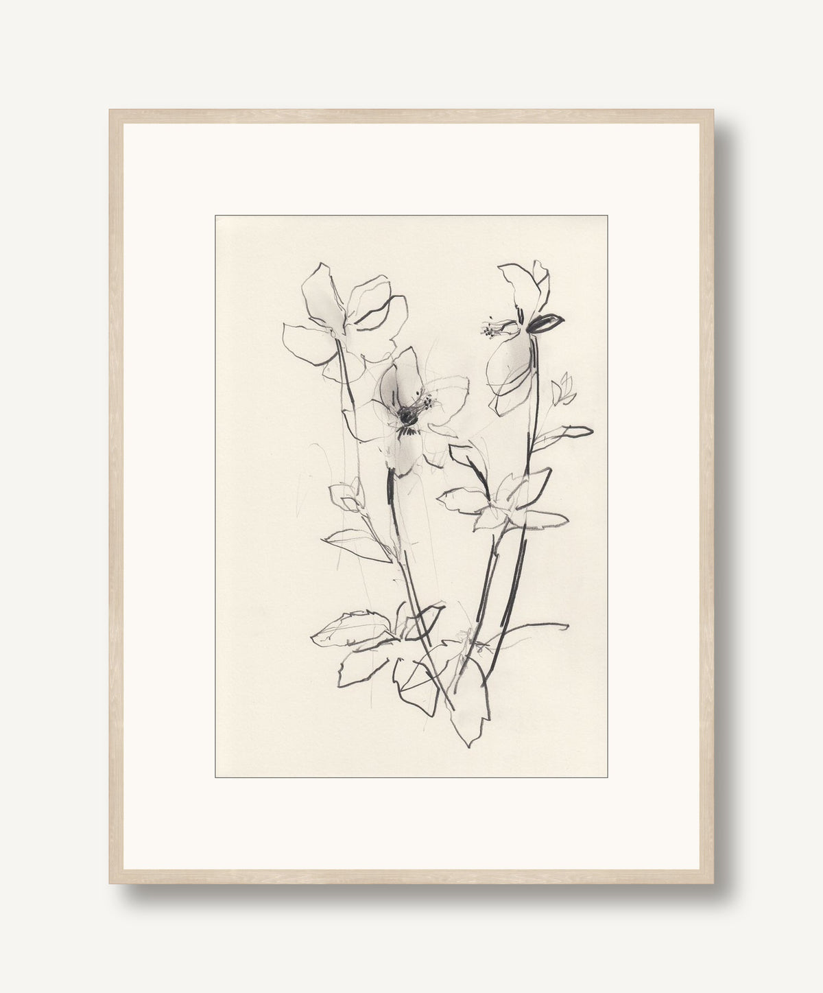Hellebore Study 1 framed