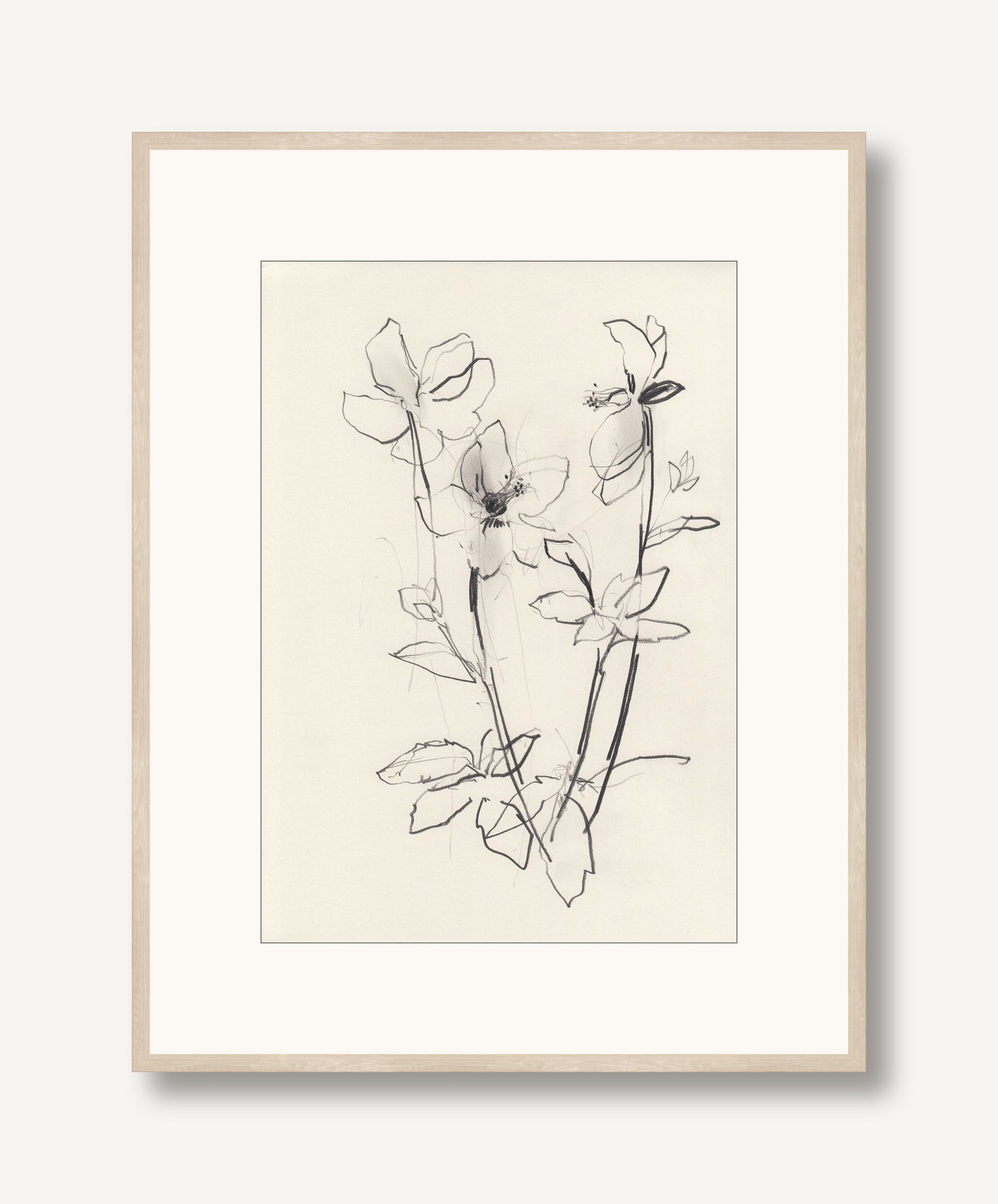 Hellebore Study 1 framed