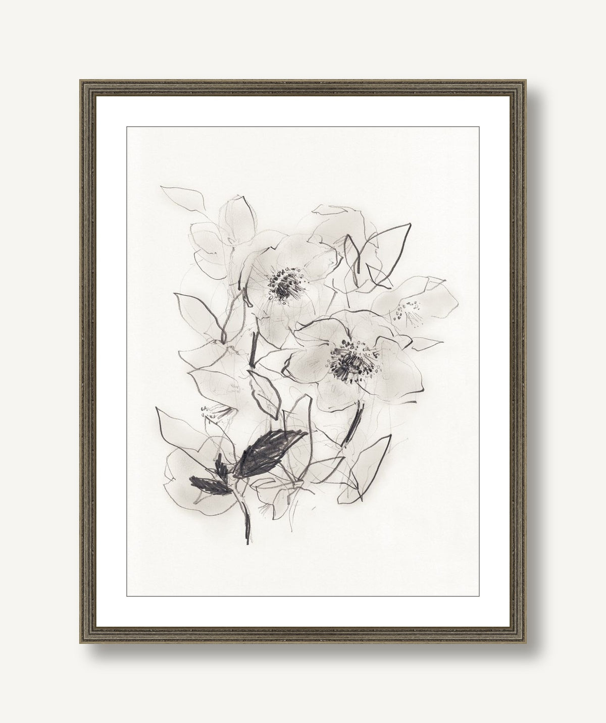 Hellebores at Daybreak 1 framed
