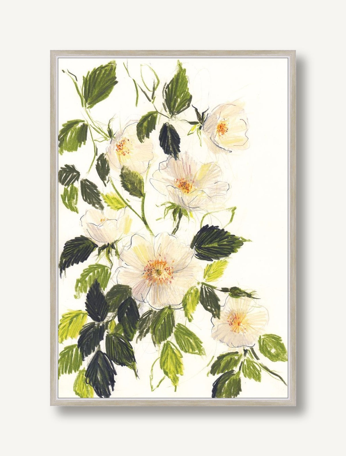 Heirloom Roses 1 framed