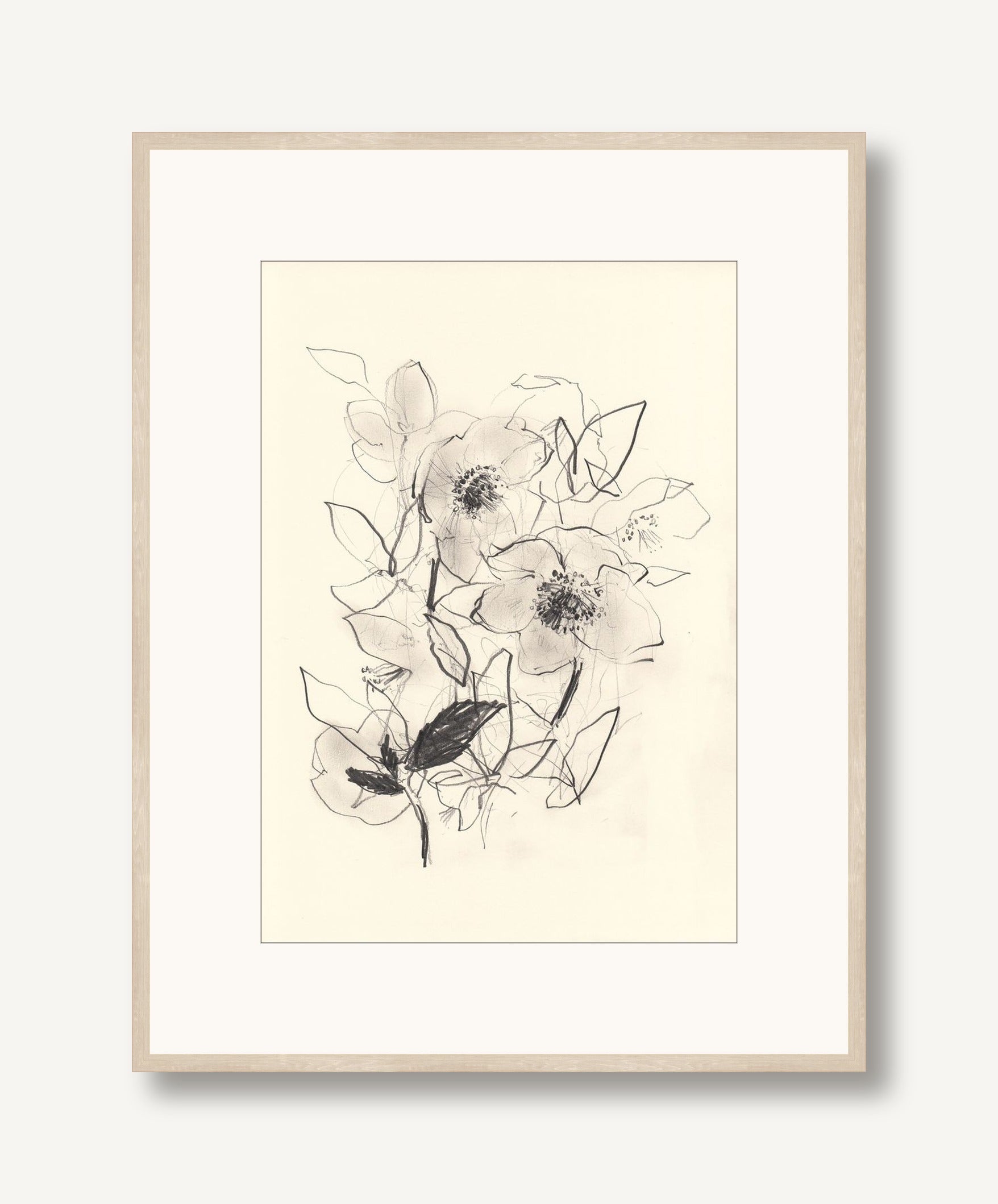 Morning Hellebores 2 framed