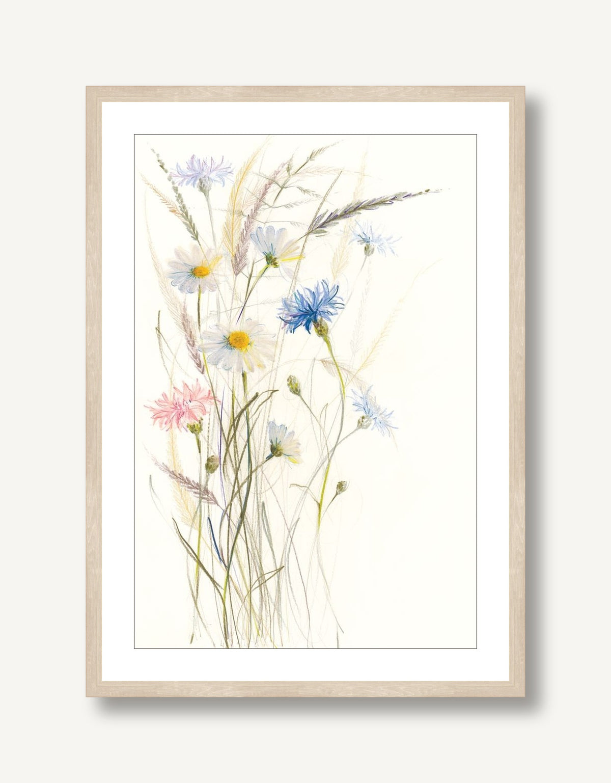 Oxeye Daisies 1 framed