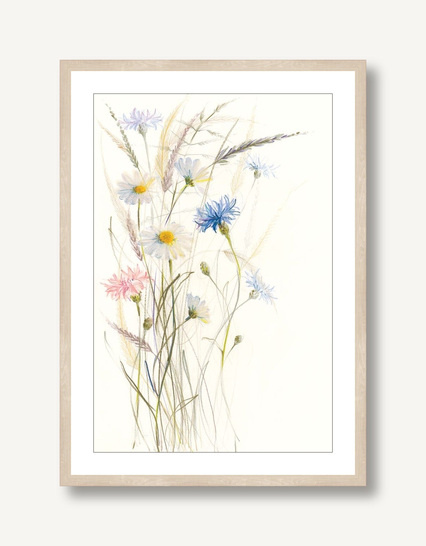 Oxeye Daisies 1 framed