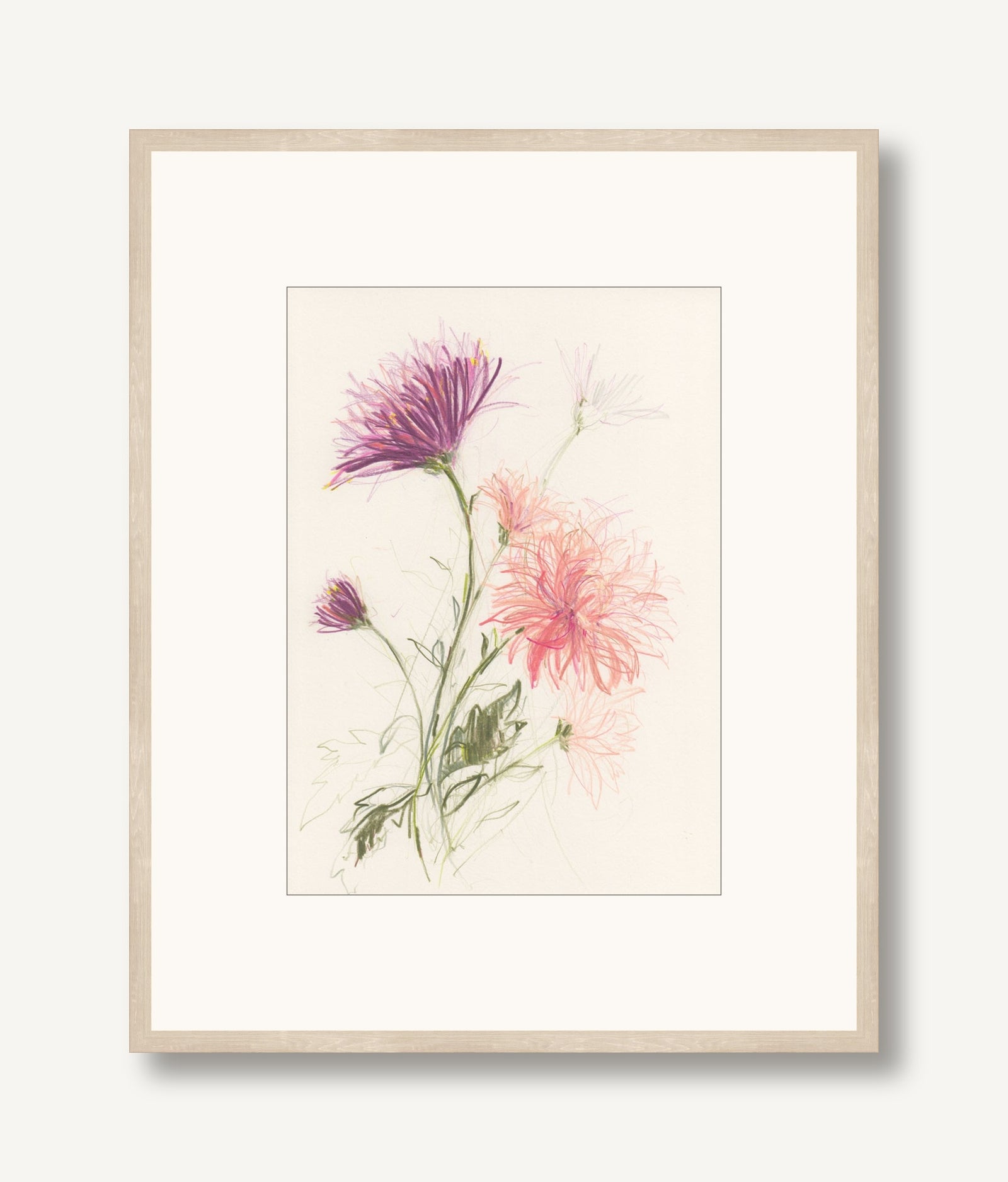 Pink Chrysanthemums 1 framed