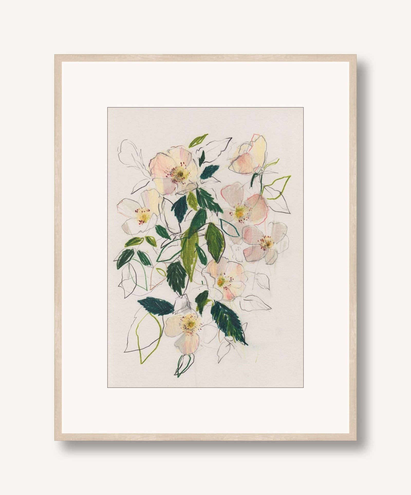 Soft Blush Dog Rose 1 framed