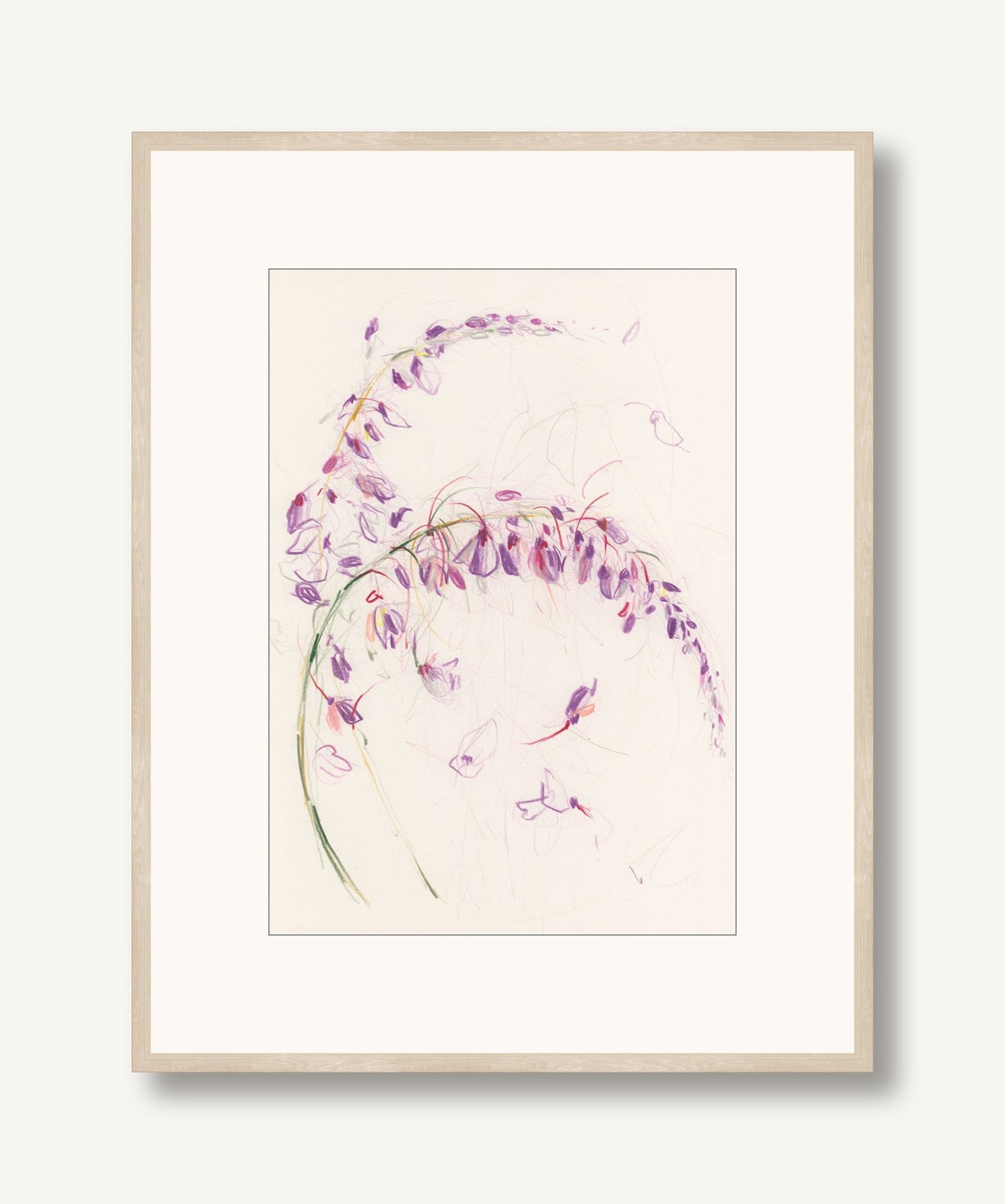 Wisteria 1 framed
