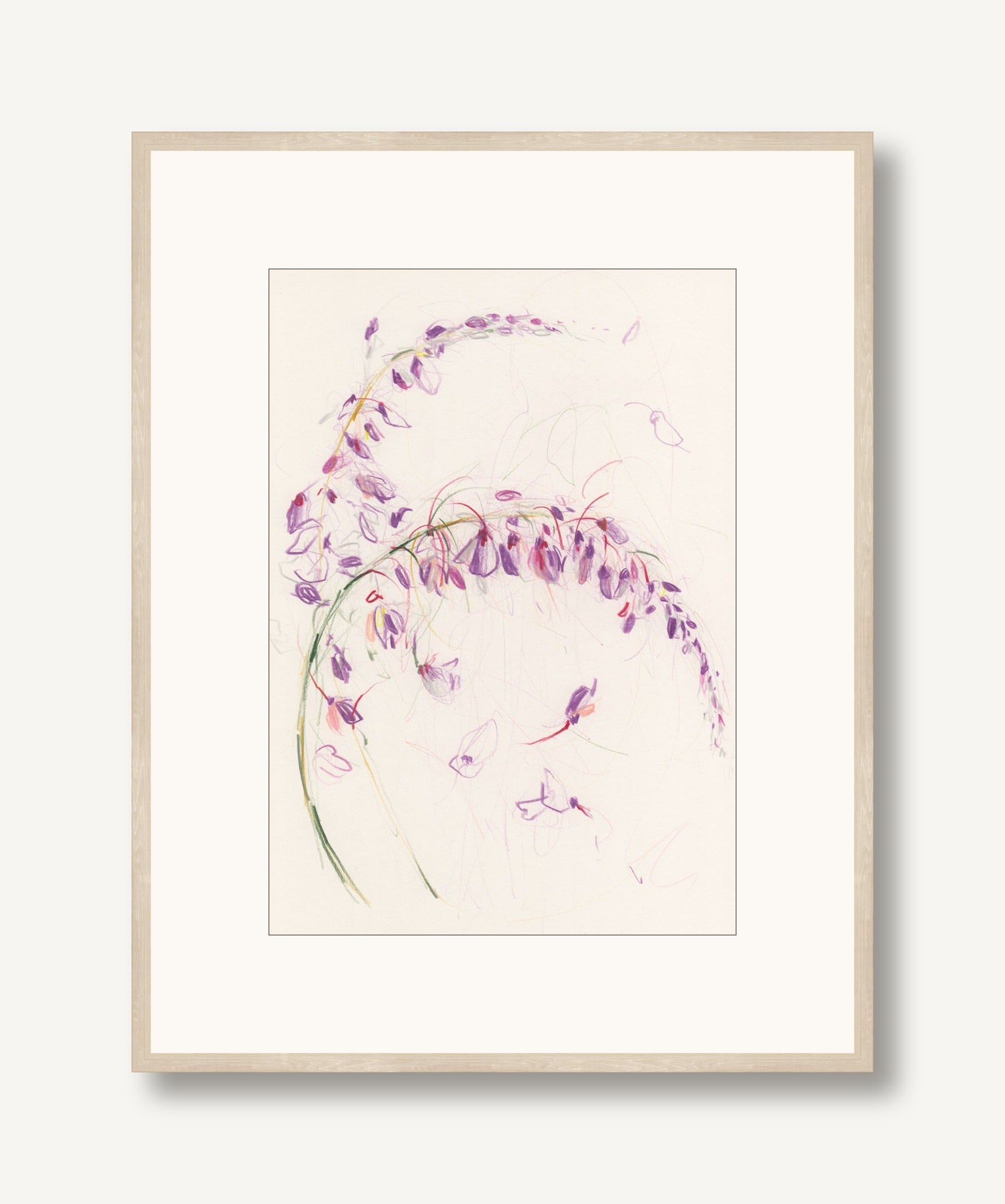 Wisteria 1 framed