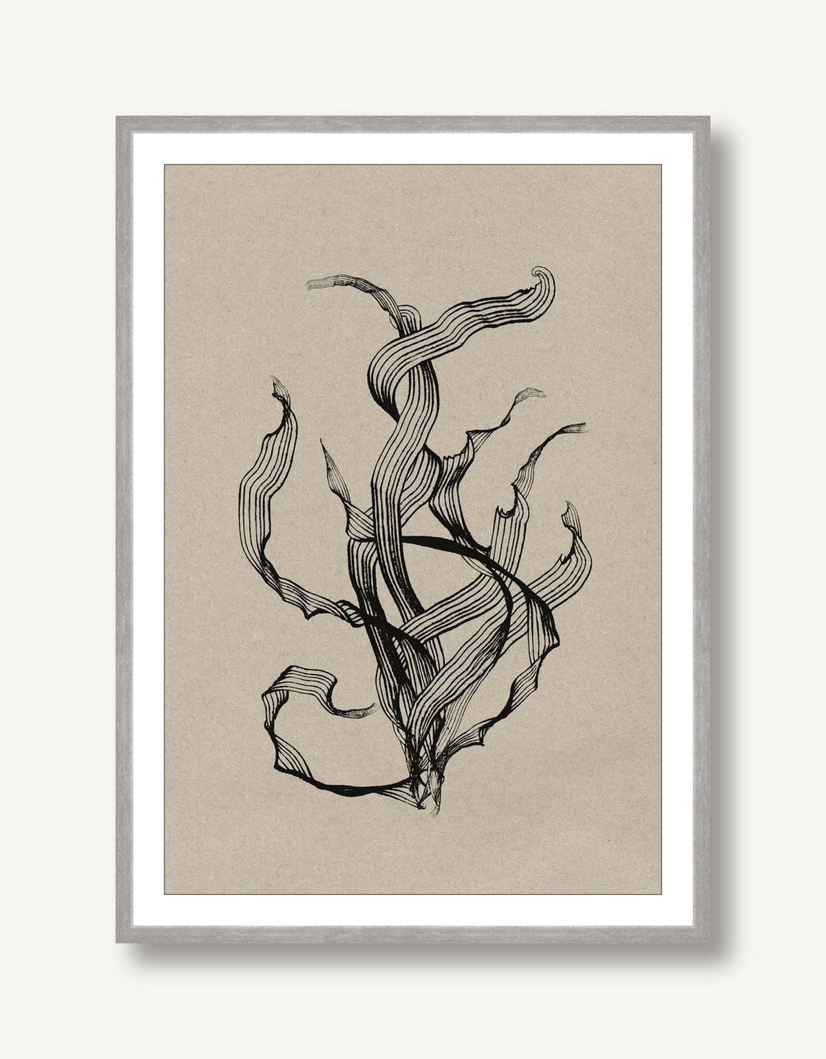 Delicate 2 framed