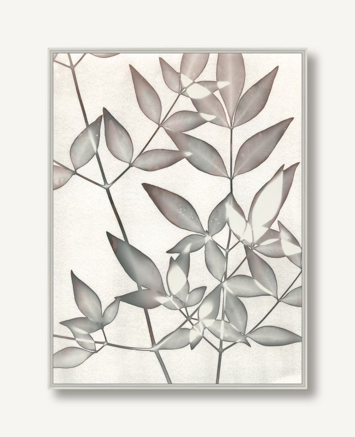 Botanical Shade 1 framed