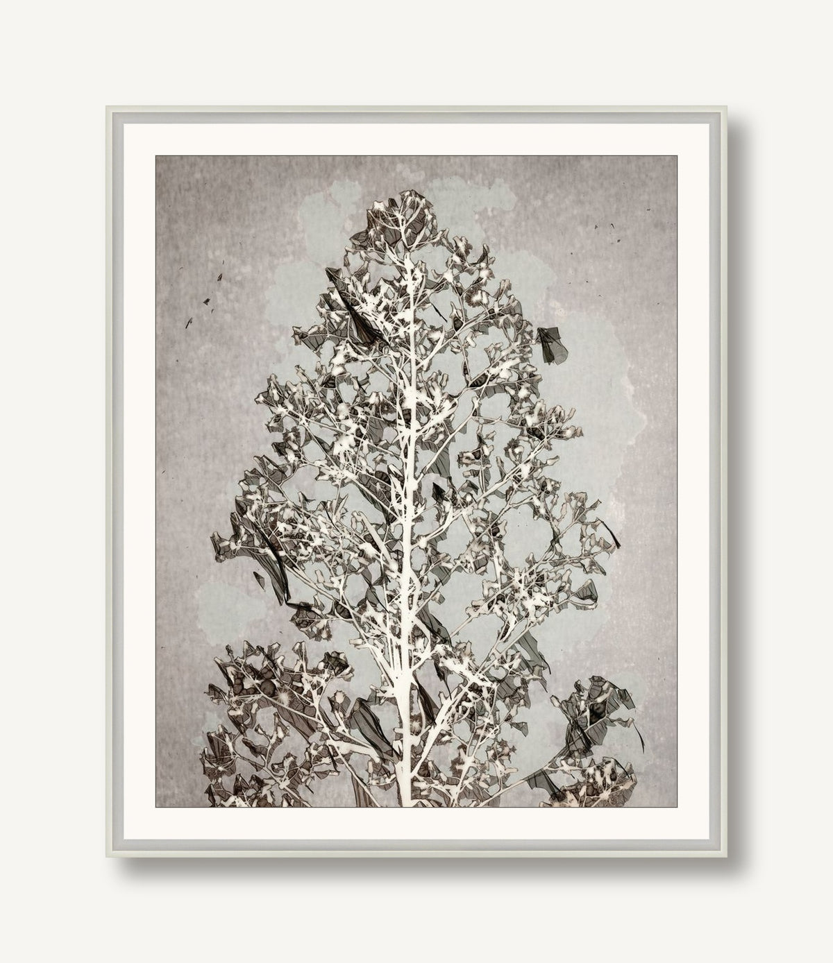 Botanical Overcast 1 framed