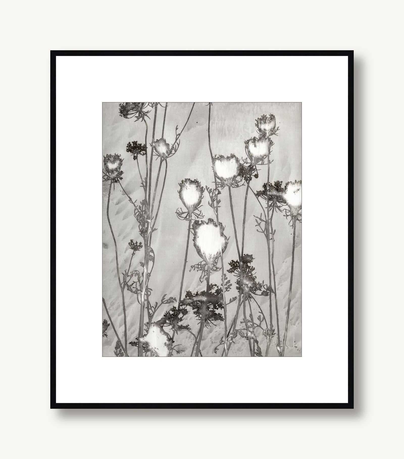 Lucent Botanicals 1 framed