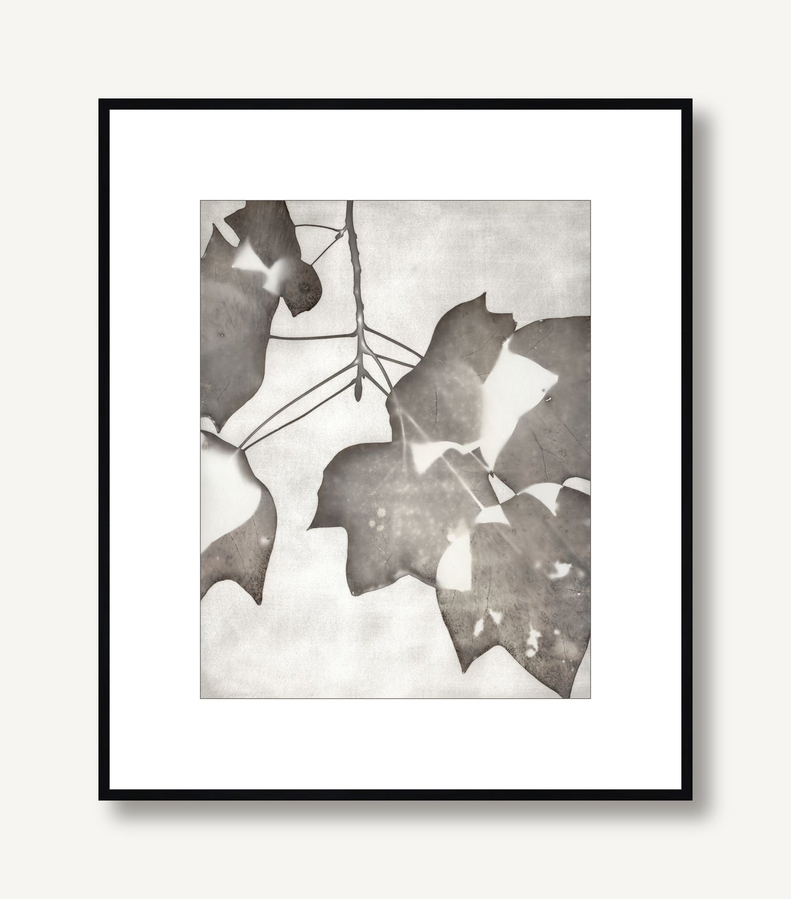 Lucent Botanicals 2 framed