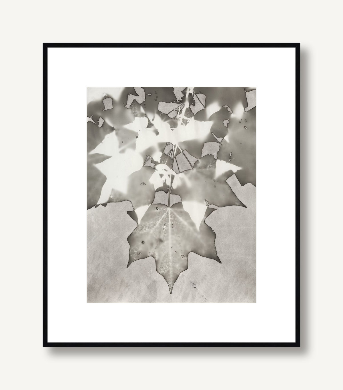 Lucent Botanicals 8 framed