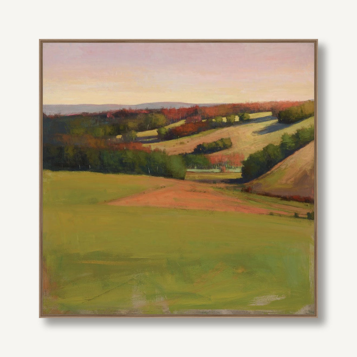 Afternoon Vista 1 framed