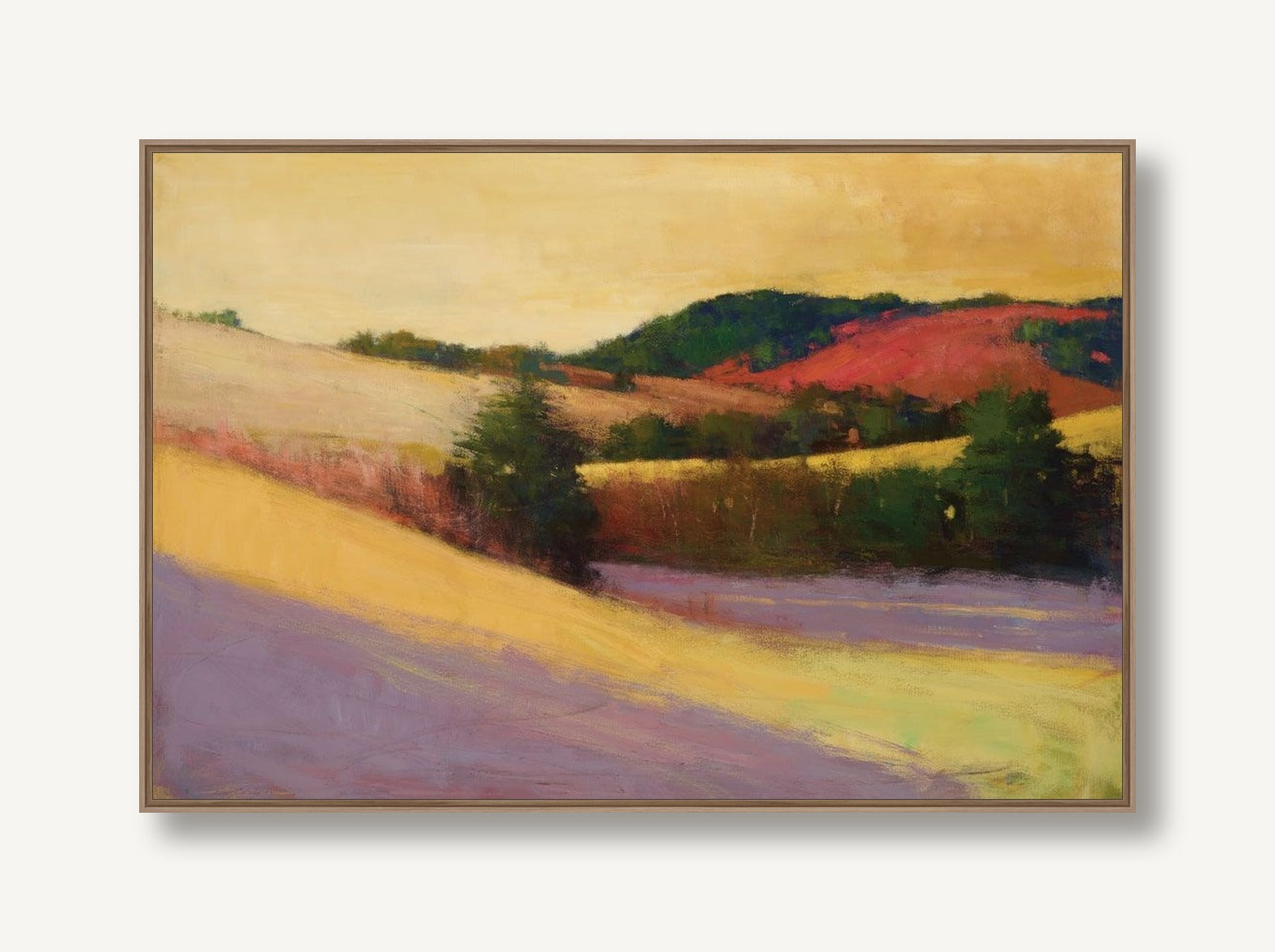 Sunset Vista 1 framed