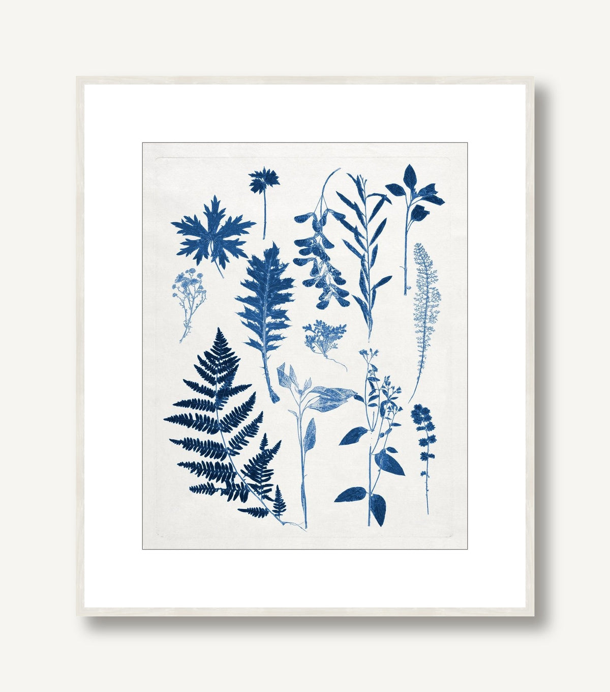 Blue Botanical Study 1 framed